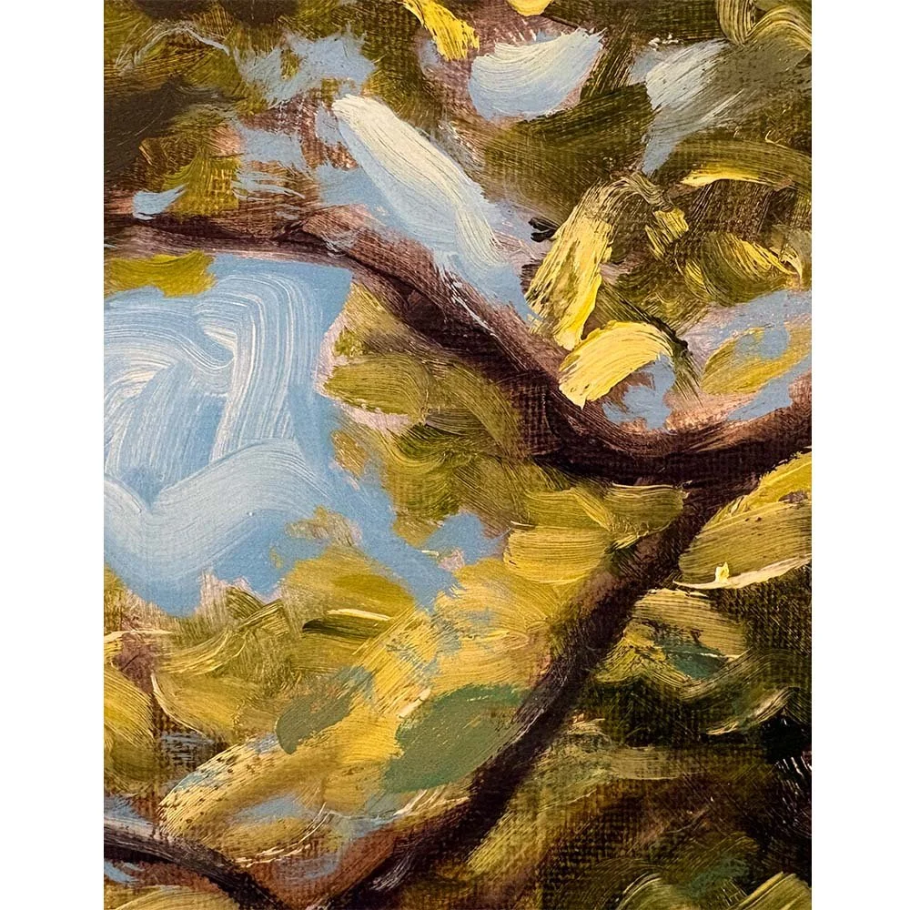 moss tree detail 03 SQUARE.jpg