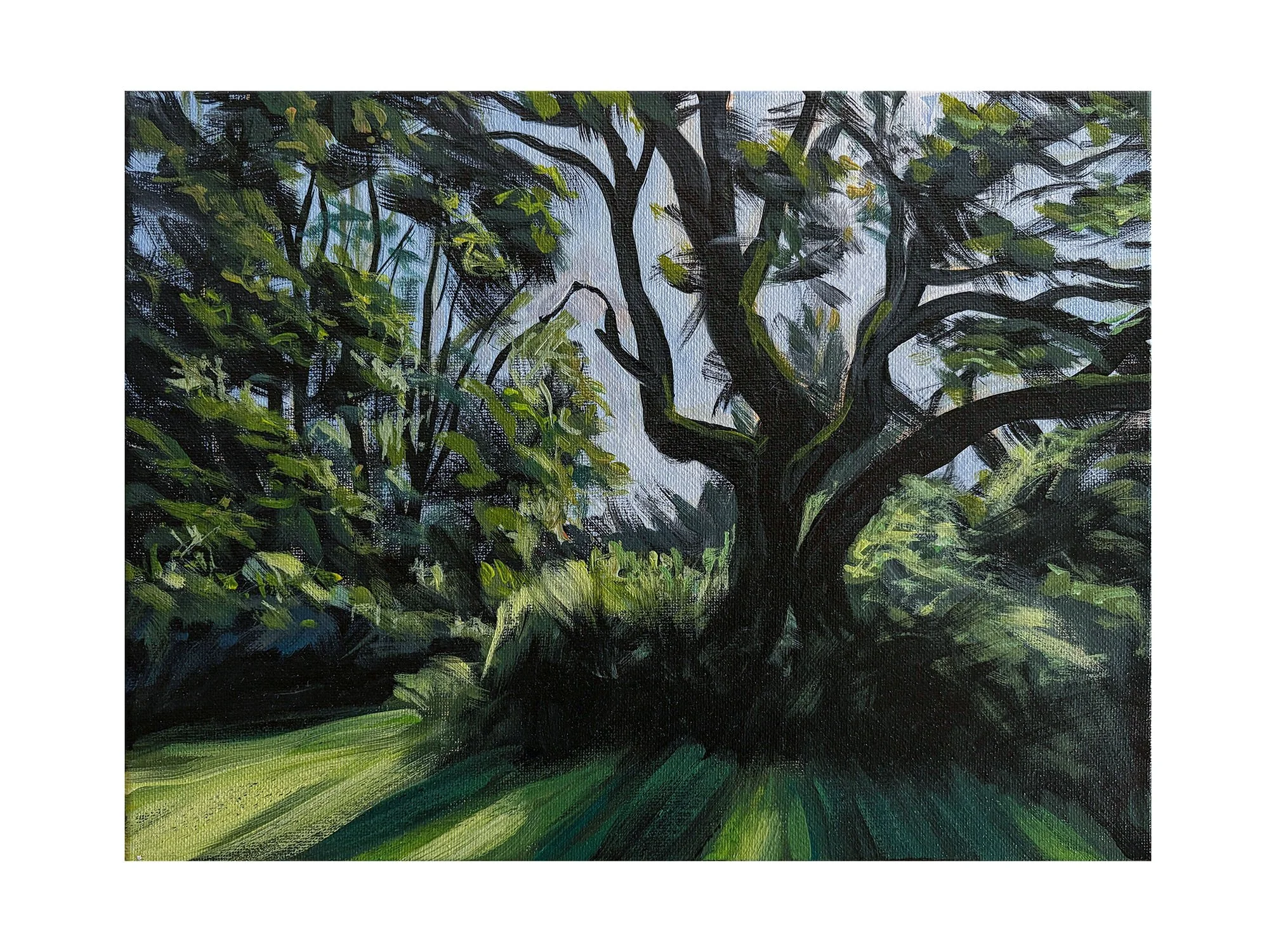 Beacon Hill Park, Garry Oak Meadow 1