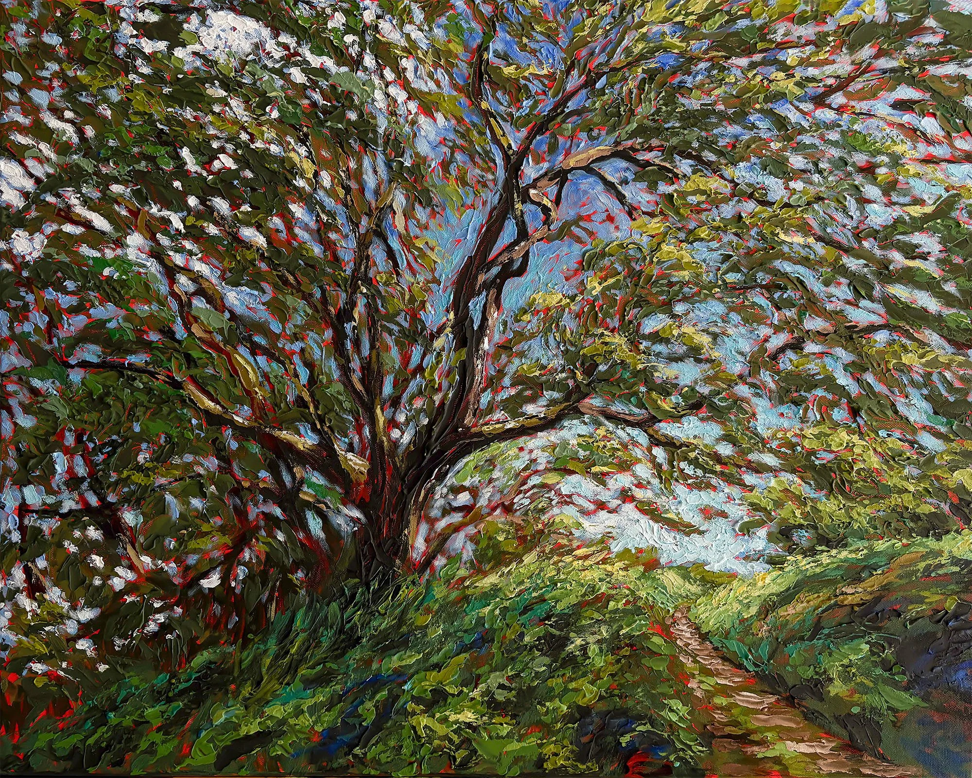 Gully Oak-featured pic.jpg