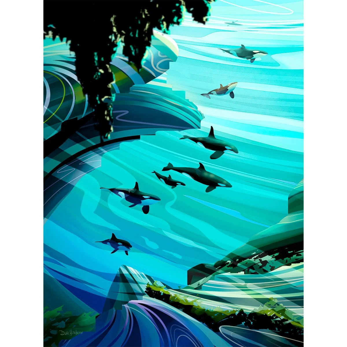Orca Pod