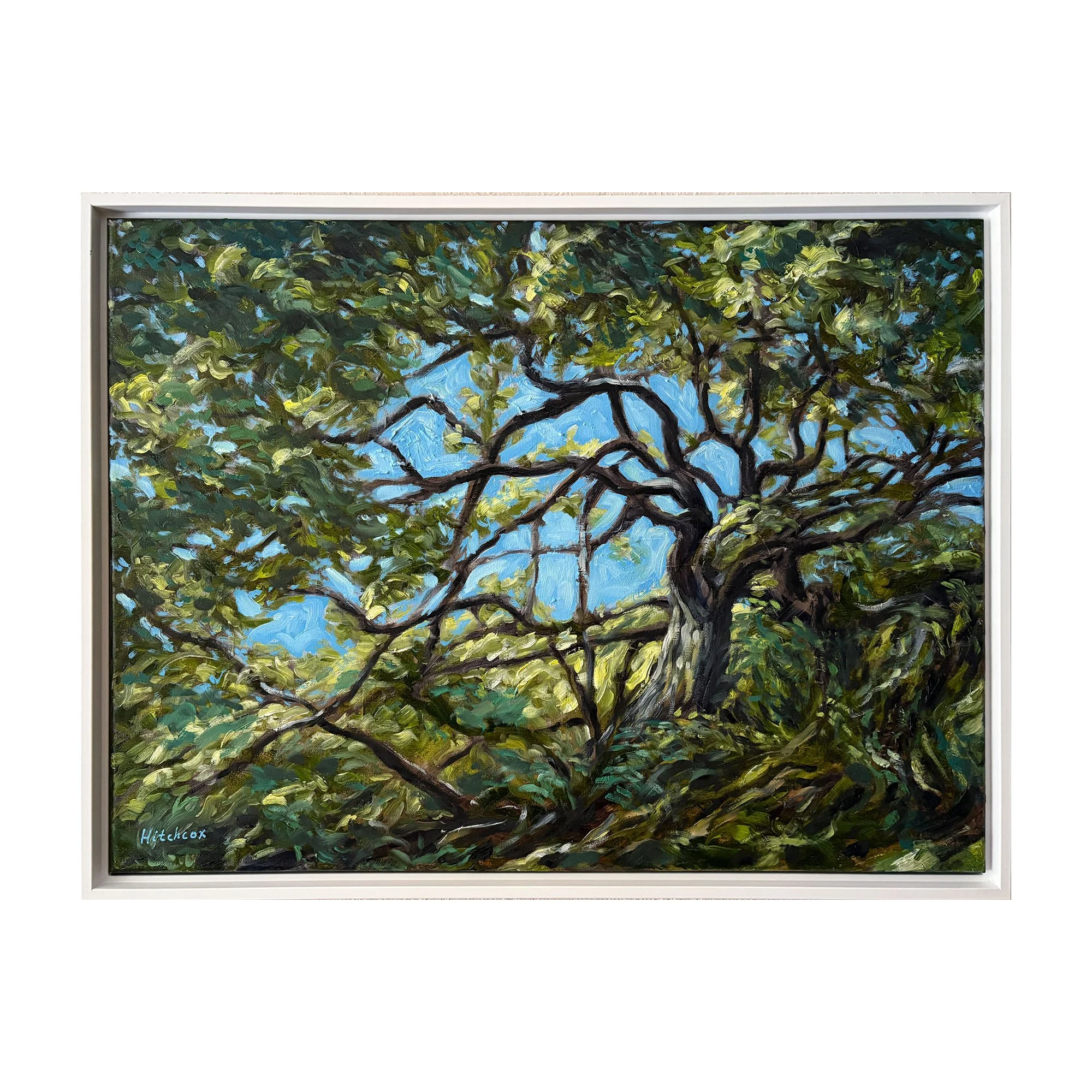 moss tree main SQUARE.jpg