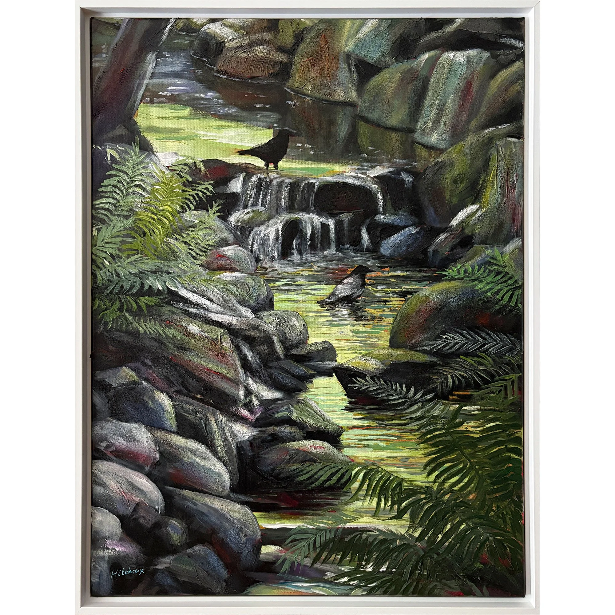 Crow Stream