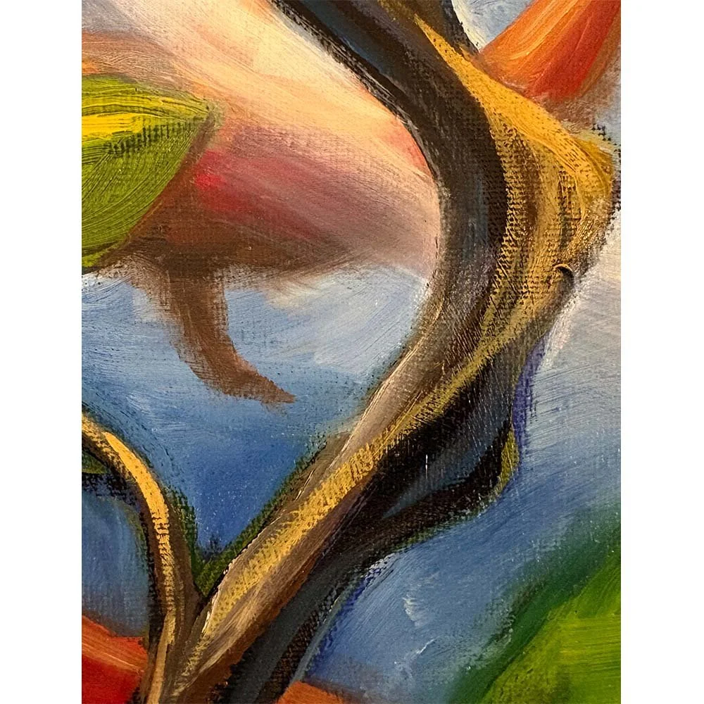koi detail 04 SQUARE.jpg