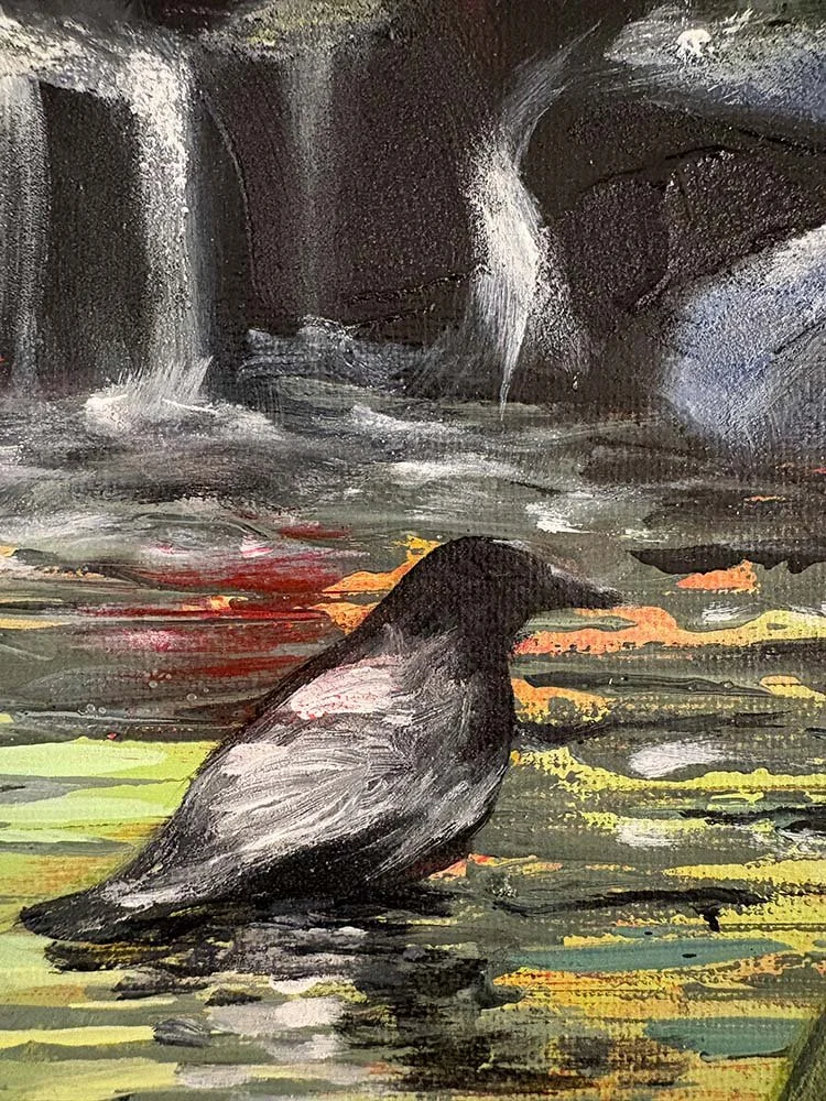 crow stream 06.jpg
