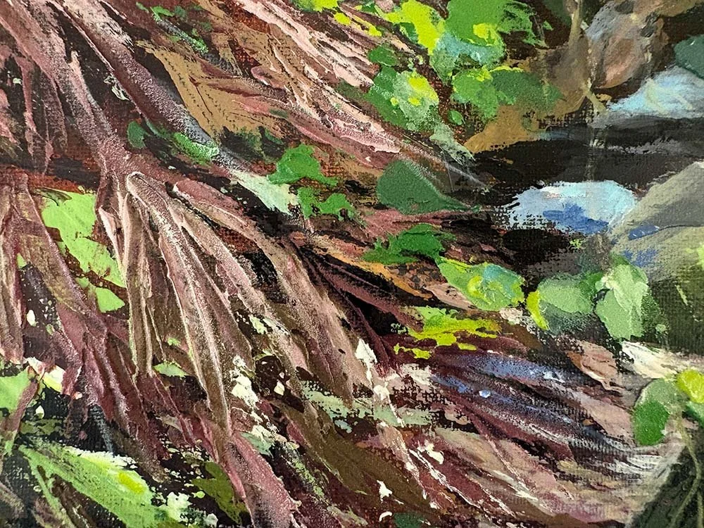 carr creek detail 21.jpg