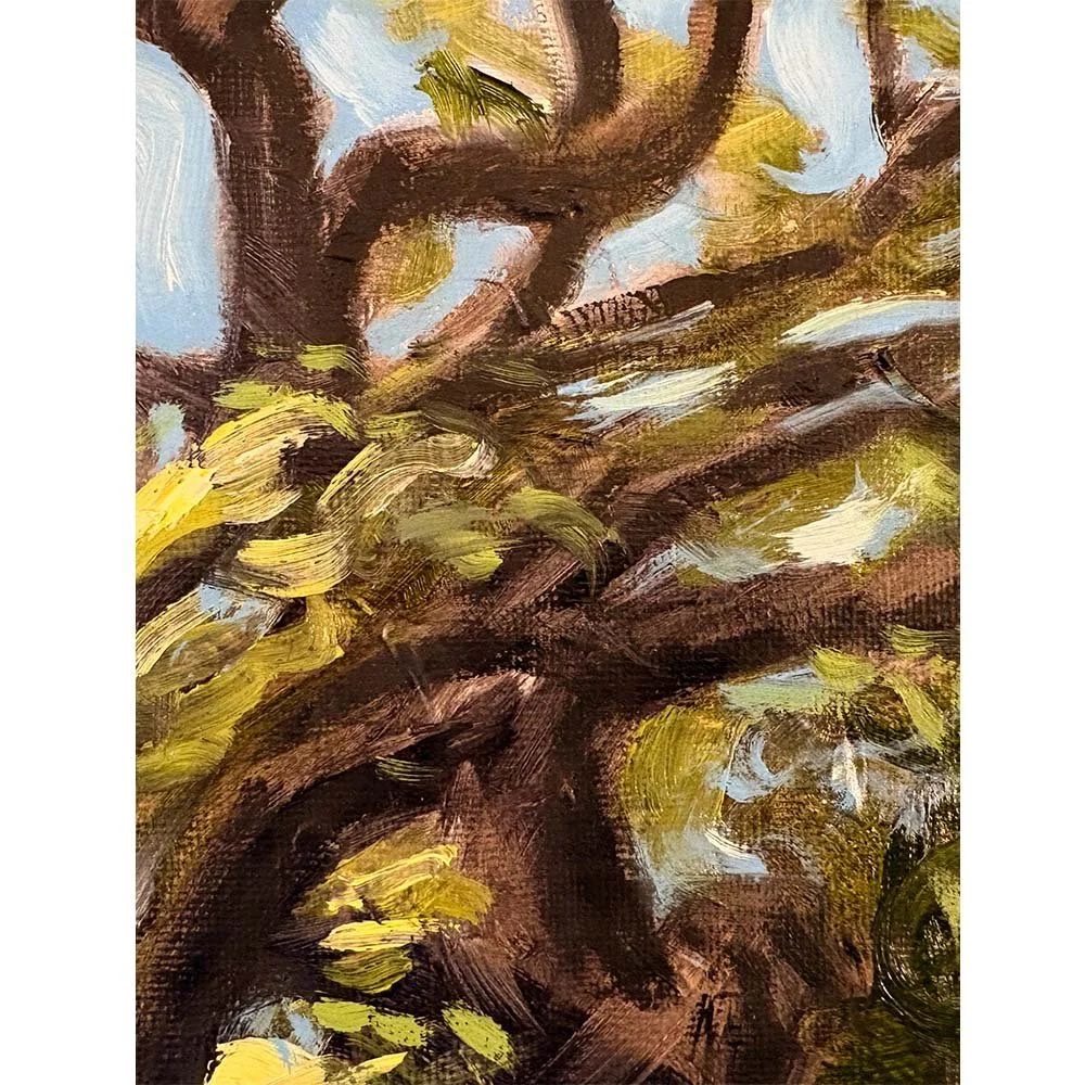 moss tree detail 04 SQUARE.jpg