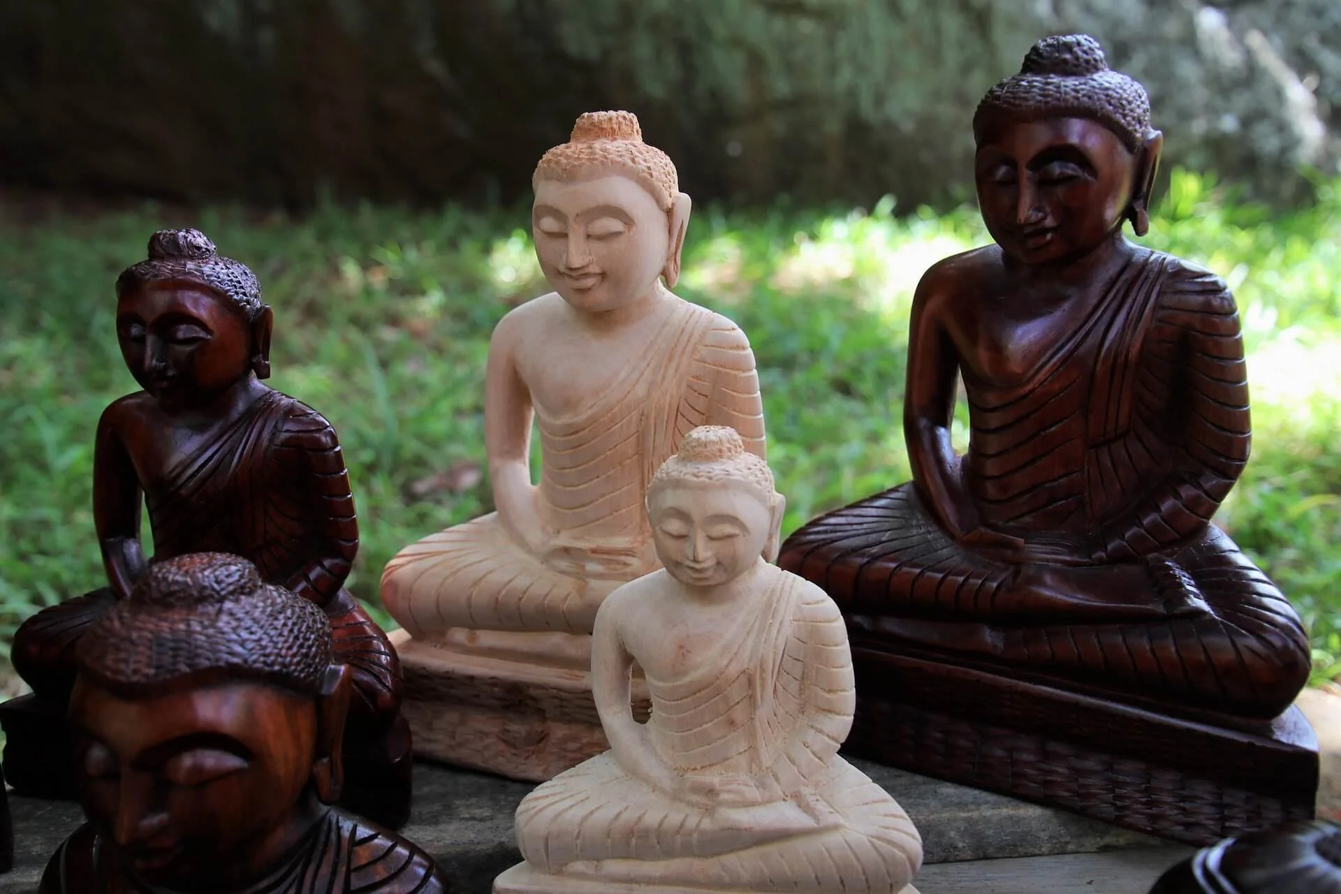 pasja1000-buddha-3212964_1920.jpg