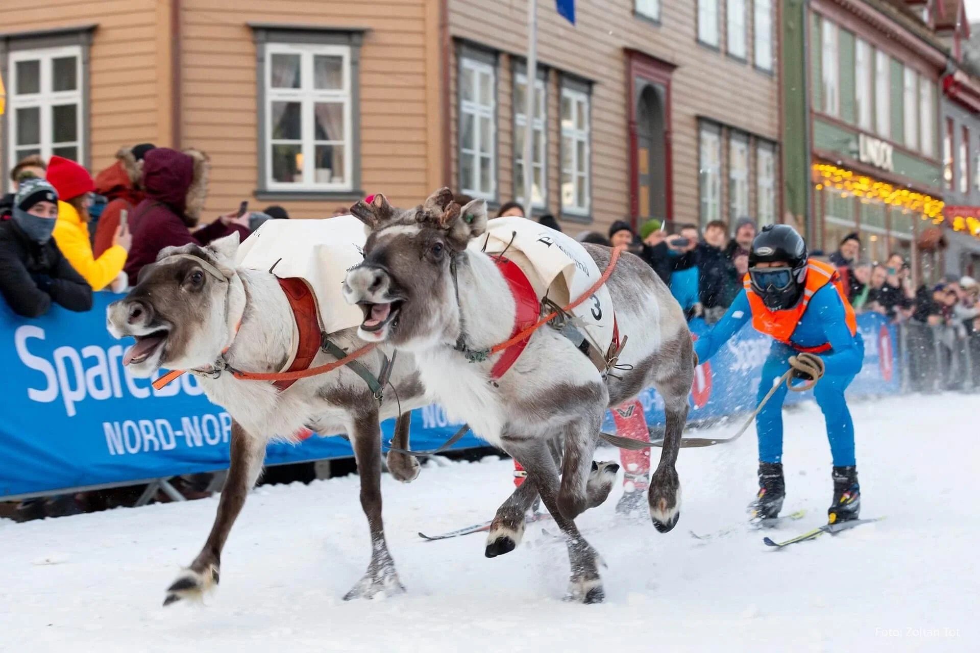 zoltantot-sami-5988521_1920.jpg