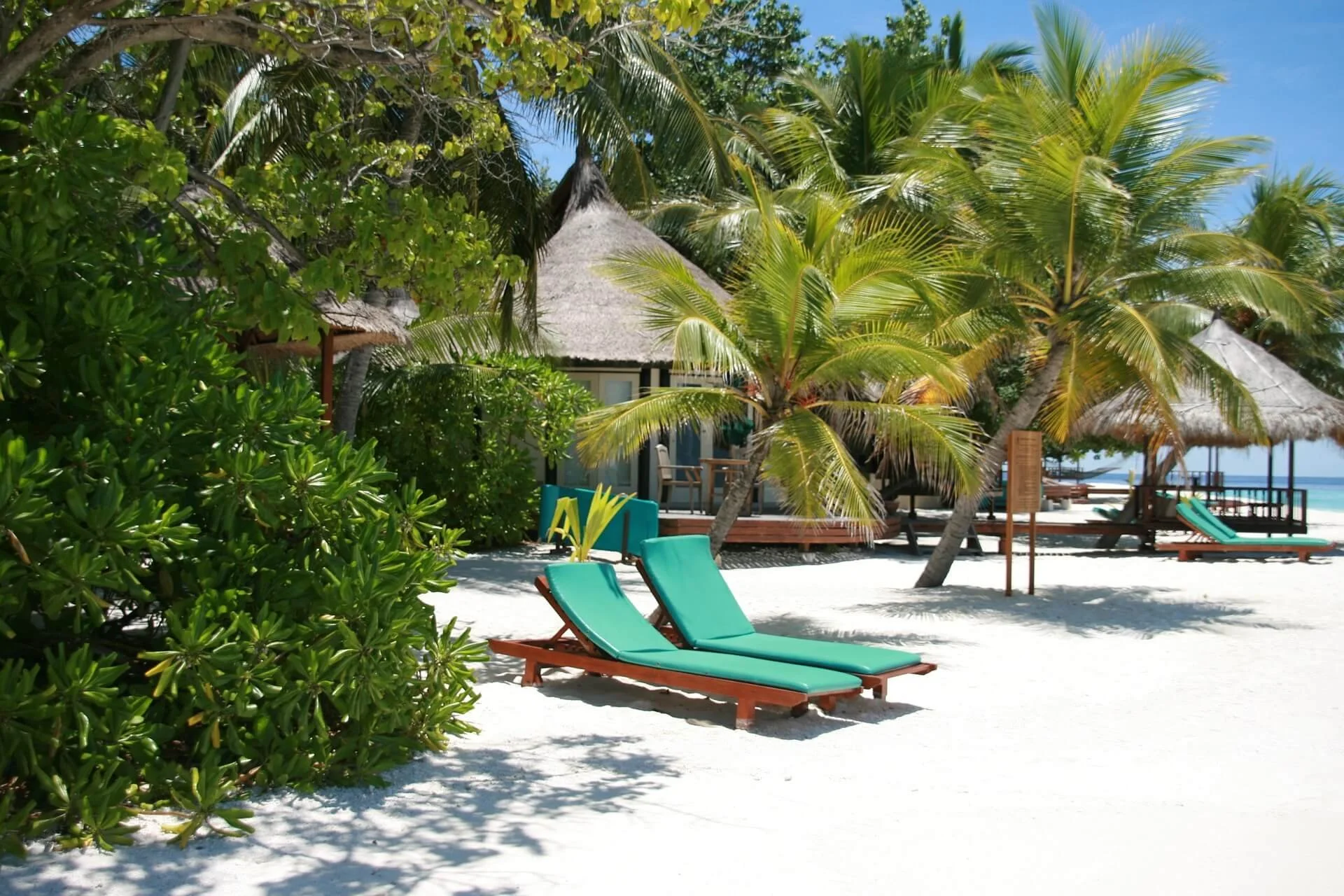 ruledis21-maldive-islands-488030_1920.jpg