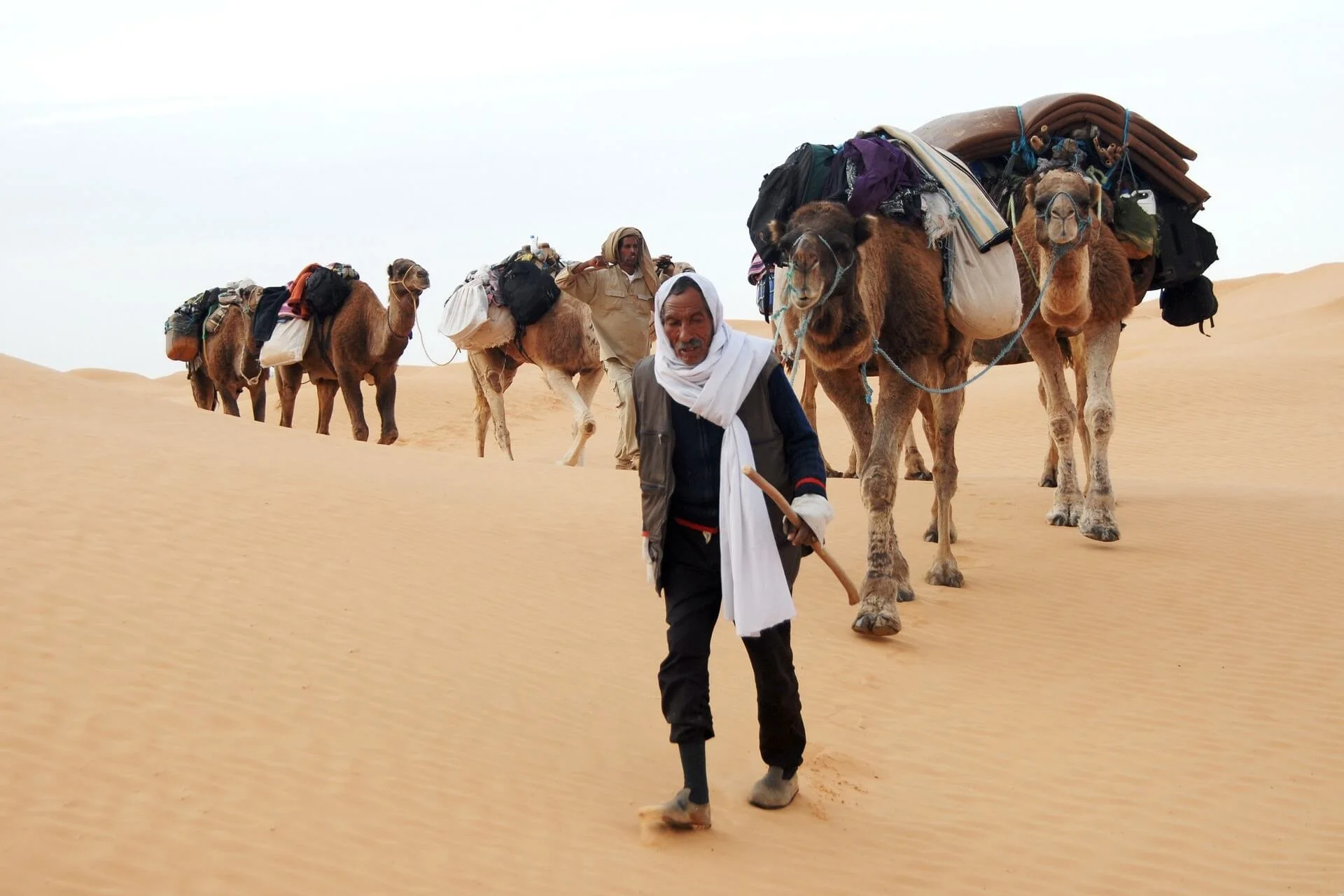hbieser-tunisia-733606_1920.jpg