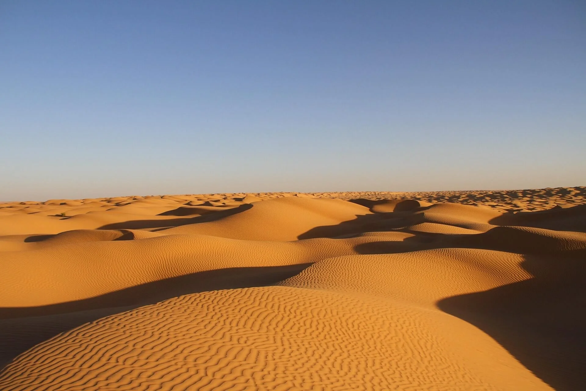 pmoulie-desert-2097476_1920.jpg