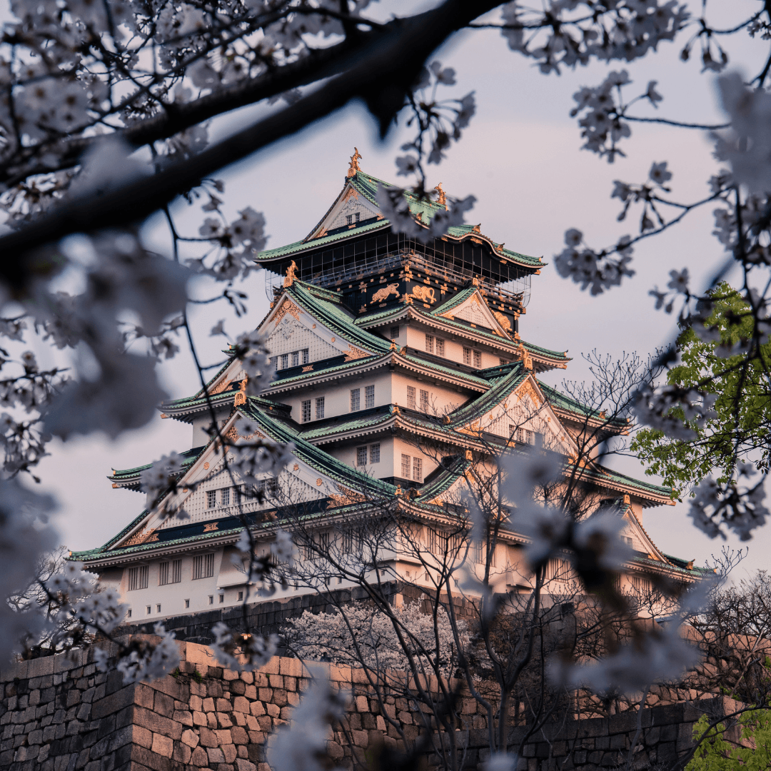 Japan Tour_10.png