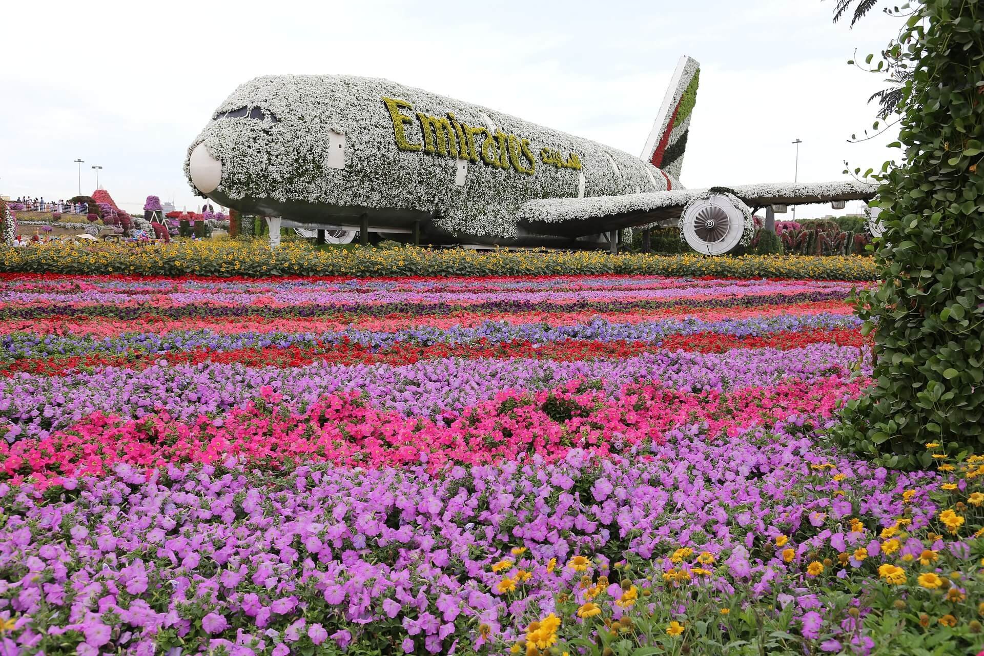 junaida279-miracle-garden-4768619_1920.jpg