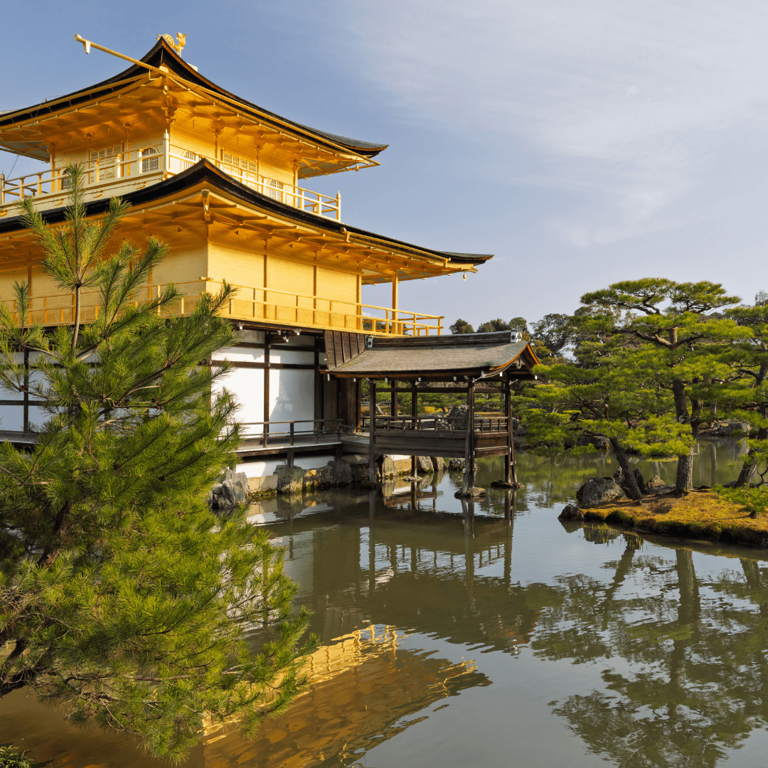 Japan Tour_6.png