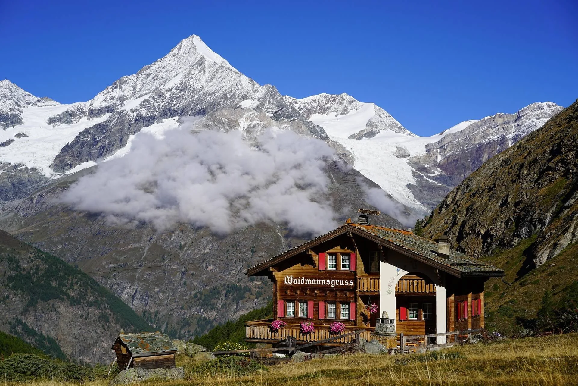hans-weisshorn-4970056_1920.jpg