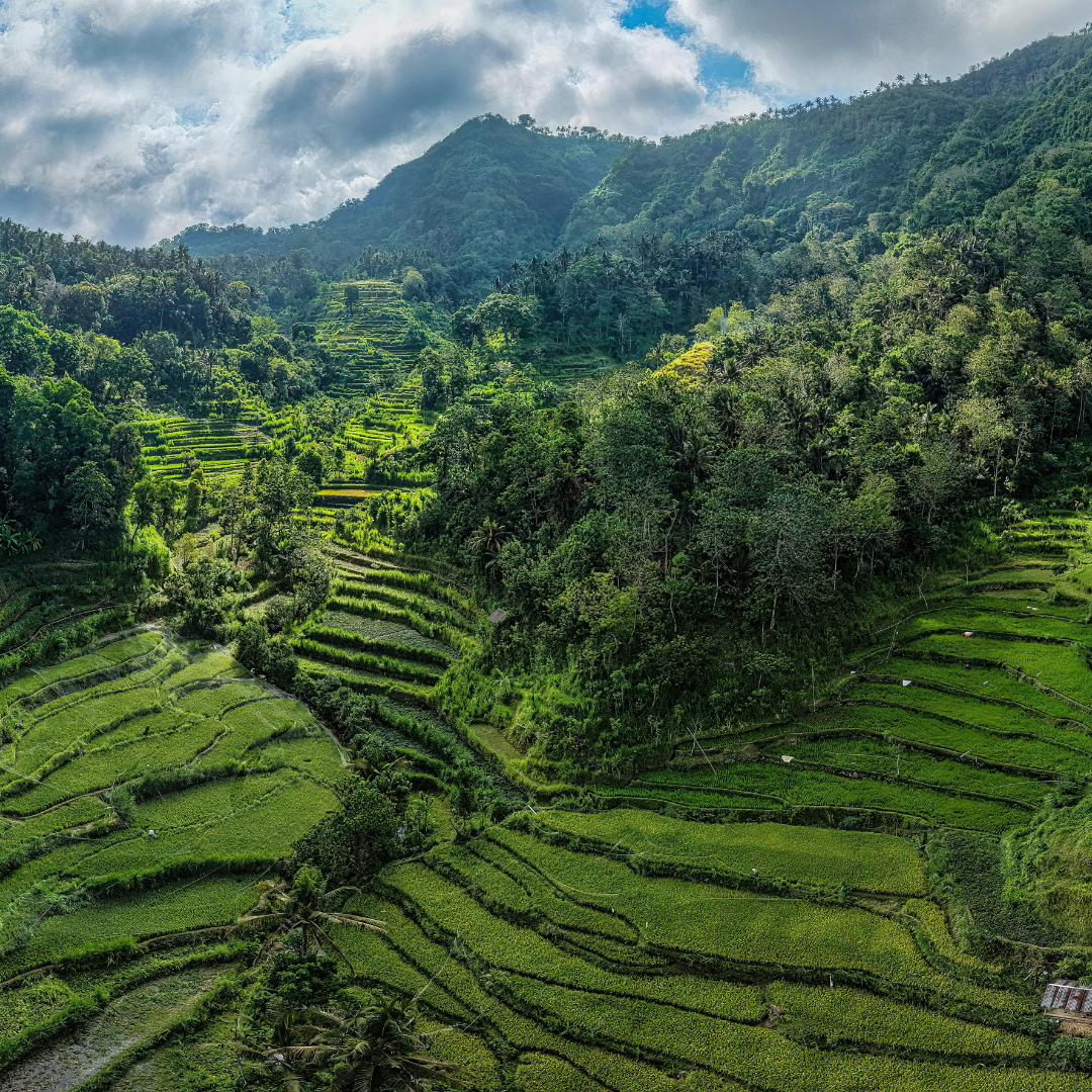 Bali_4.png