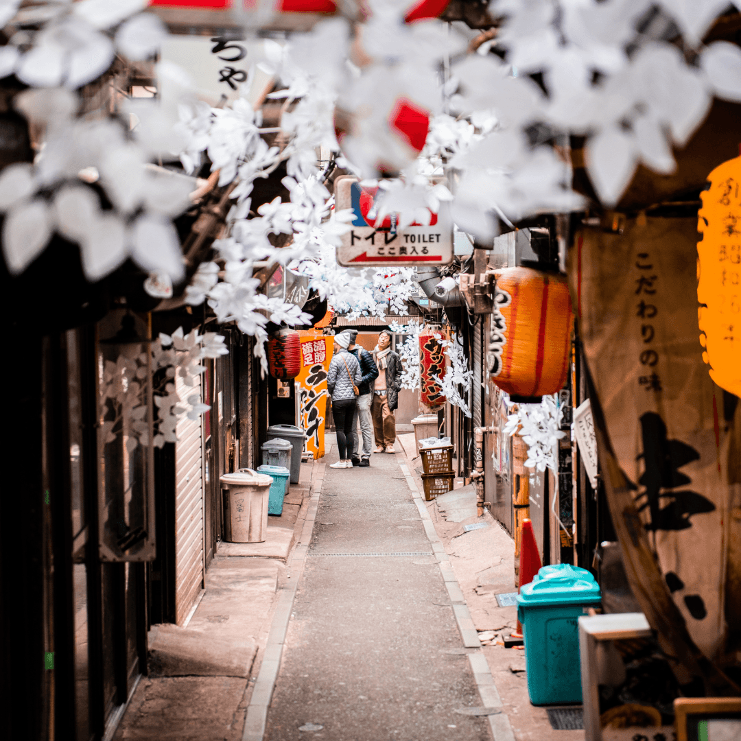 Japan Tour_2.png