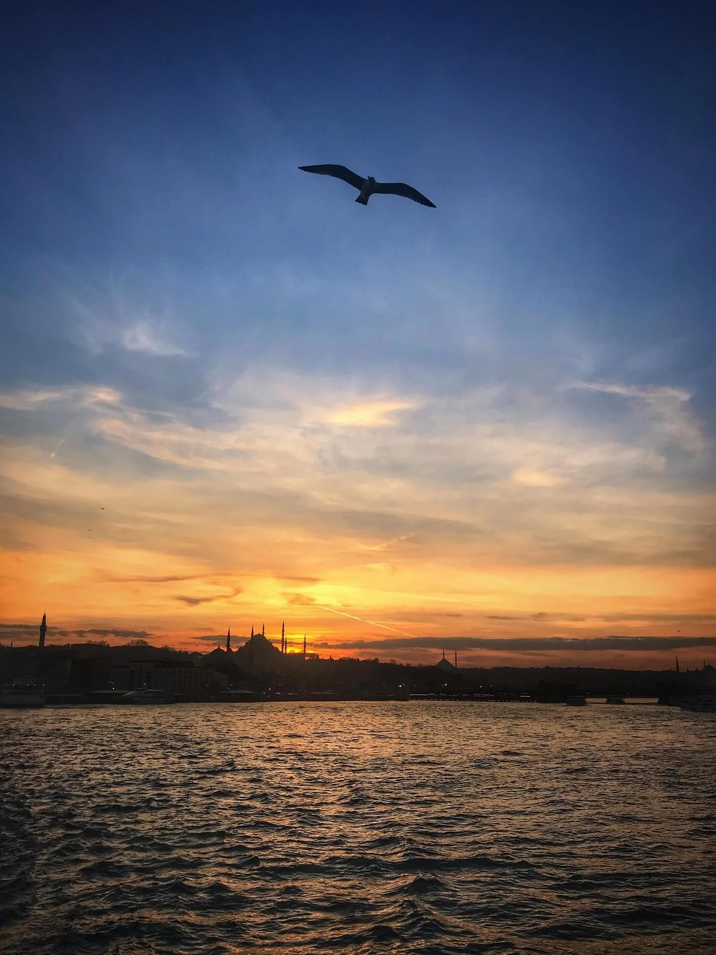 denizb-istanbul-4041003_1920.jpg