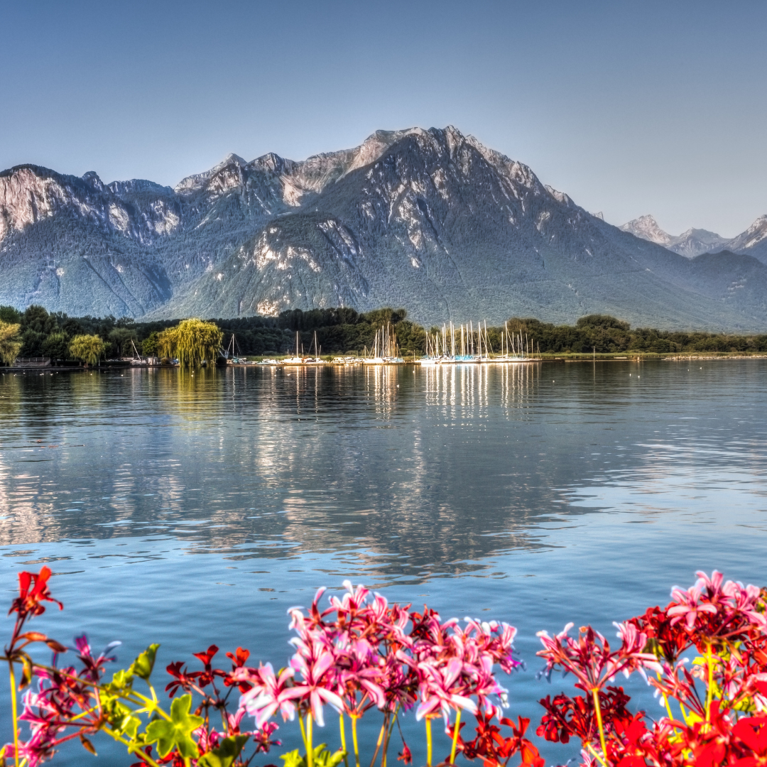Switzerland_6.png