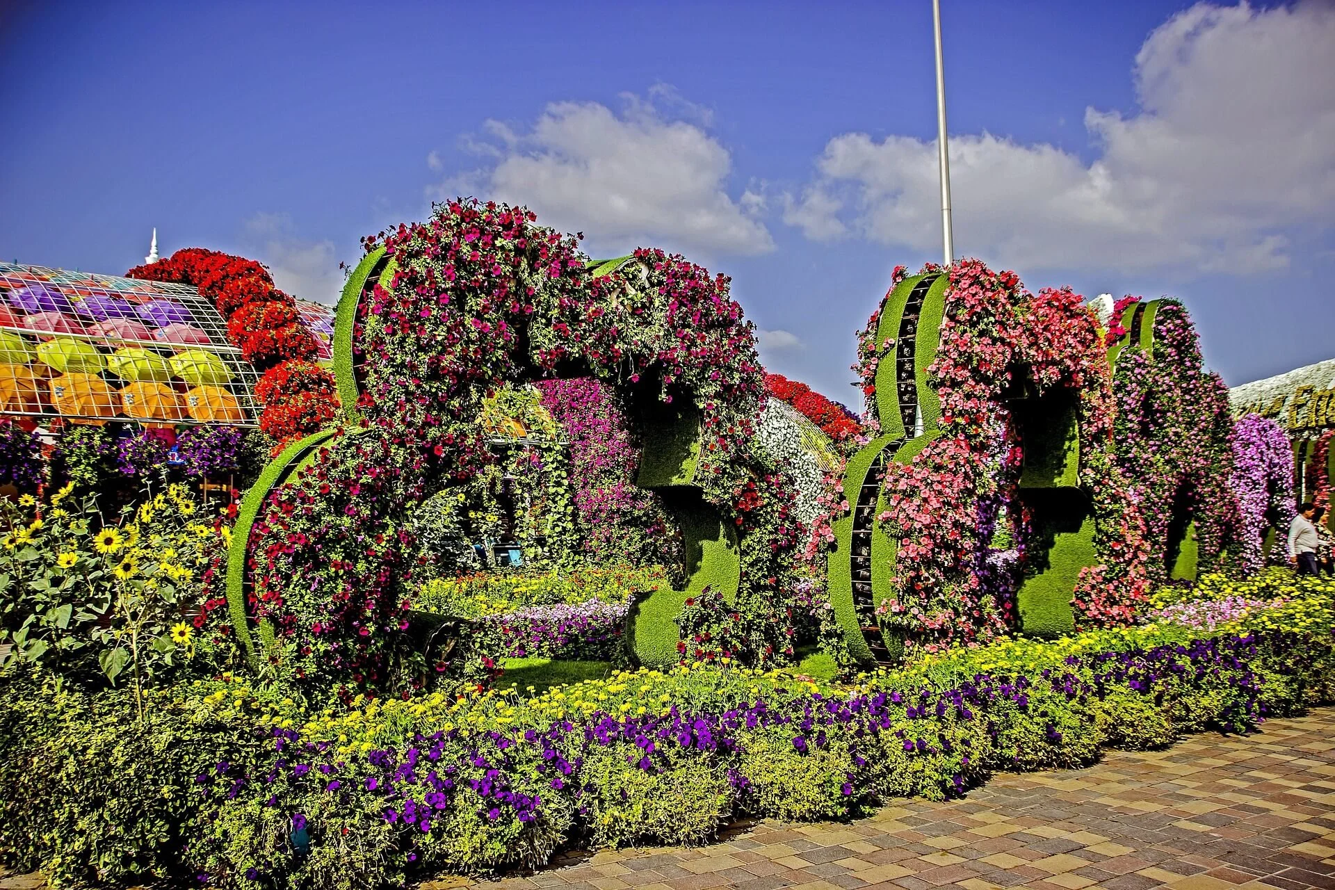 validol1311-miracle-garden-dubai-3686191_1920.jpg
