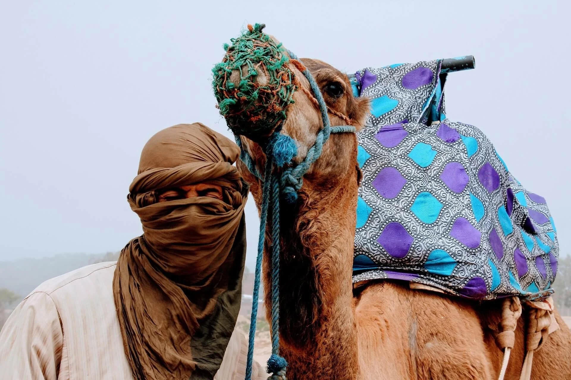instagramfotografin-camel-2465551_1920.jpg