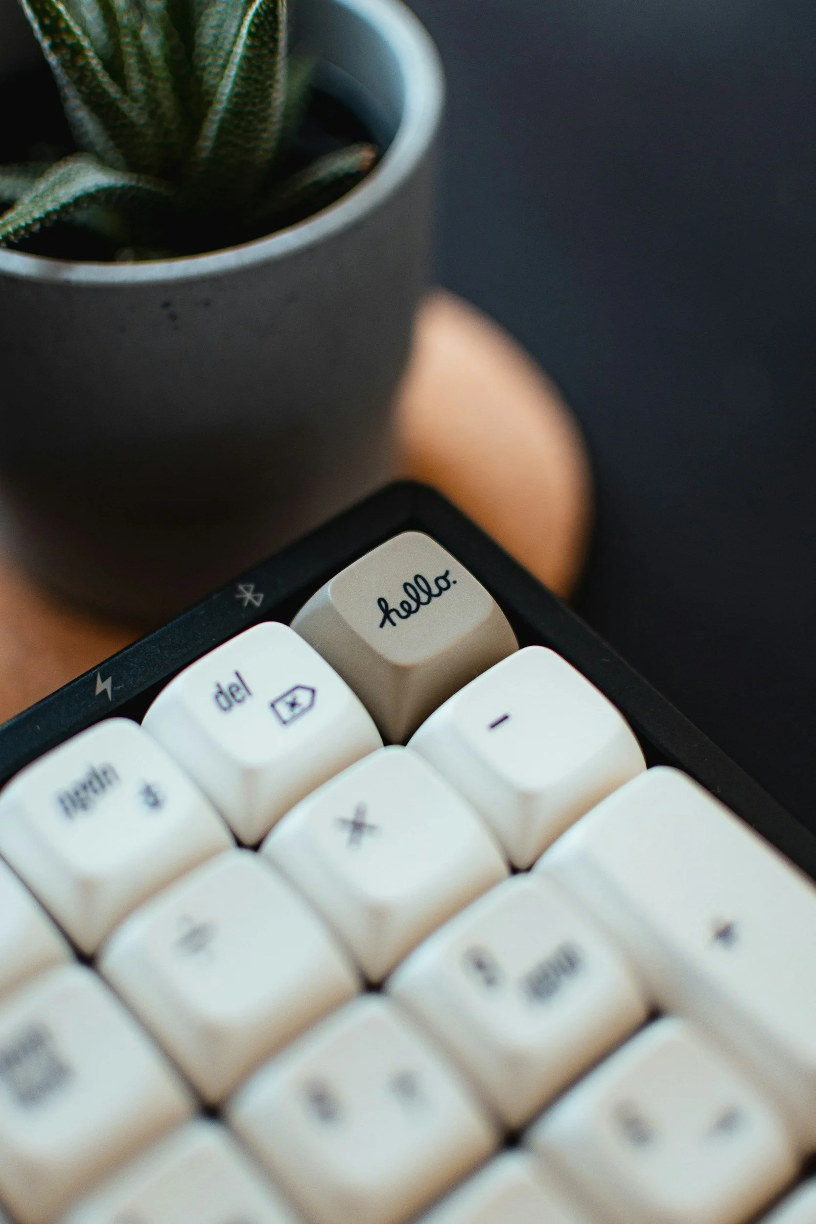 Close-up of a computer keyboard with a key labeled 'hello.' in focus and a black mug with a green plant in the background.