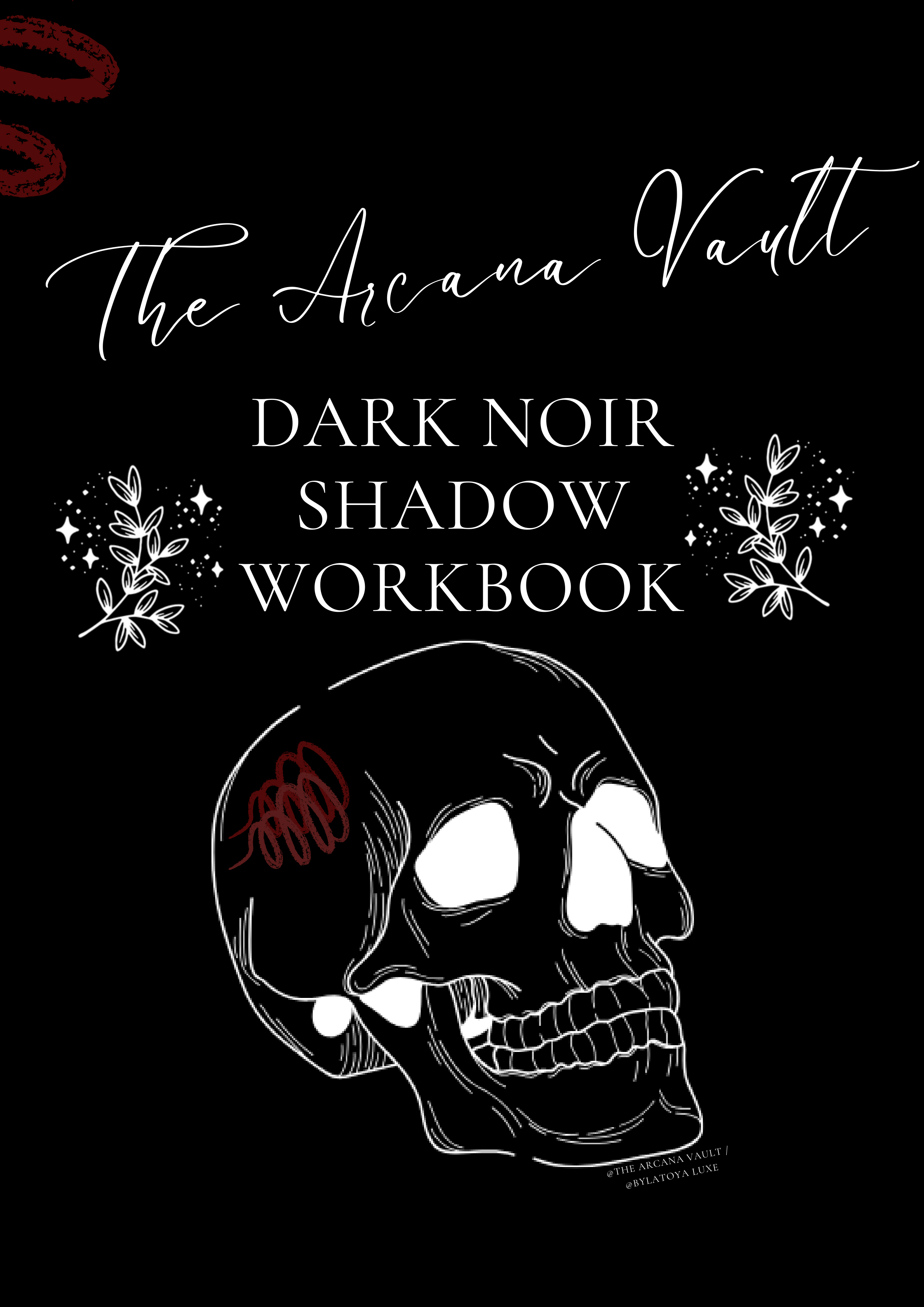Dark Noir Shadow Workbook