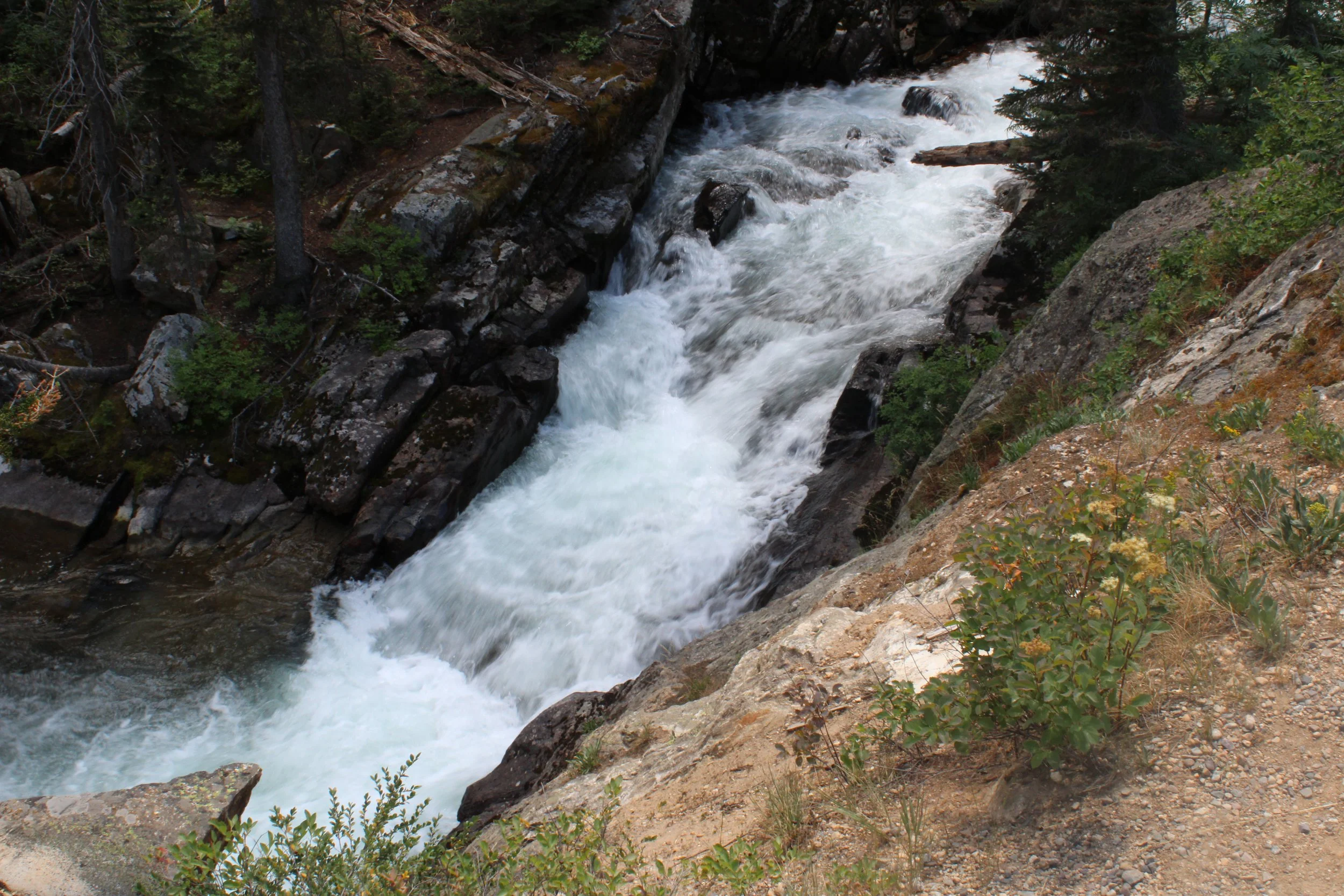 IMG_8844.JPG