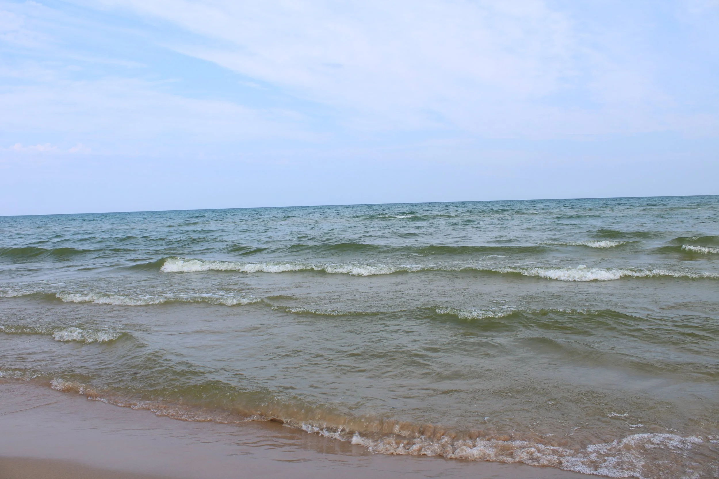 IMG_8118.JPG