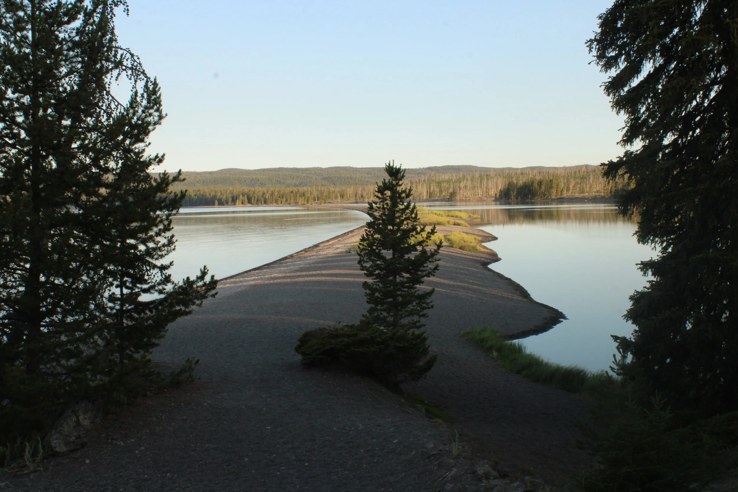 IMG_8864.JPG