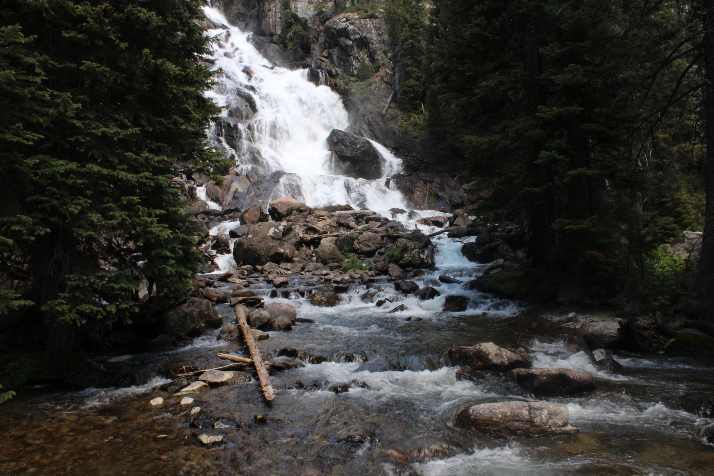 IMG_8790.JPG