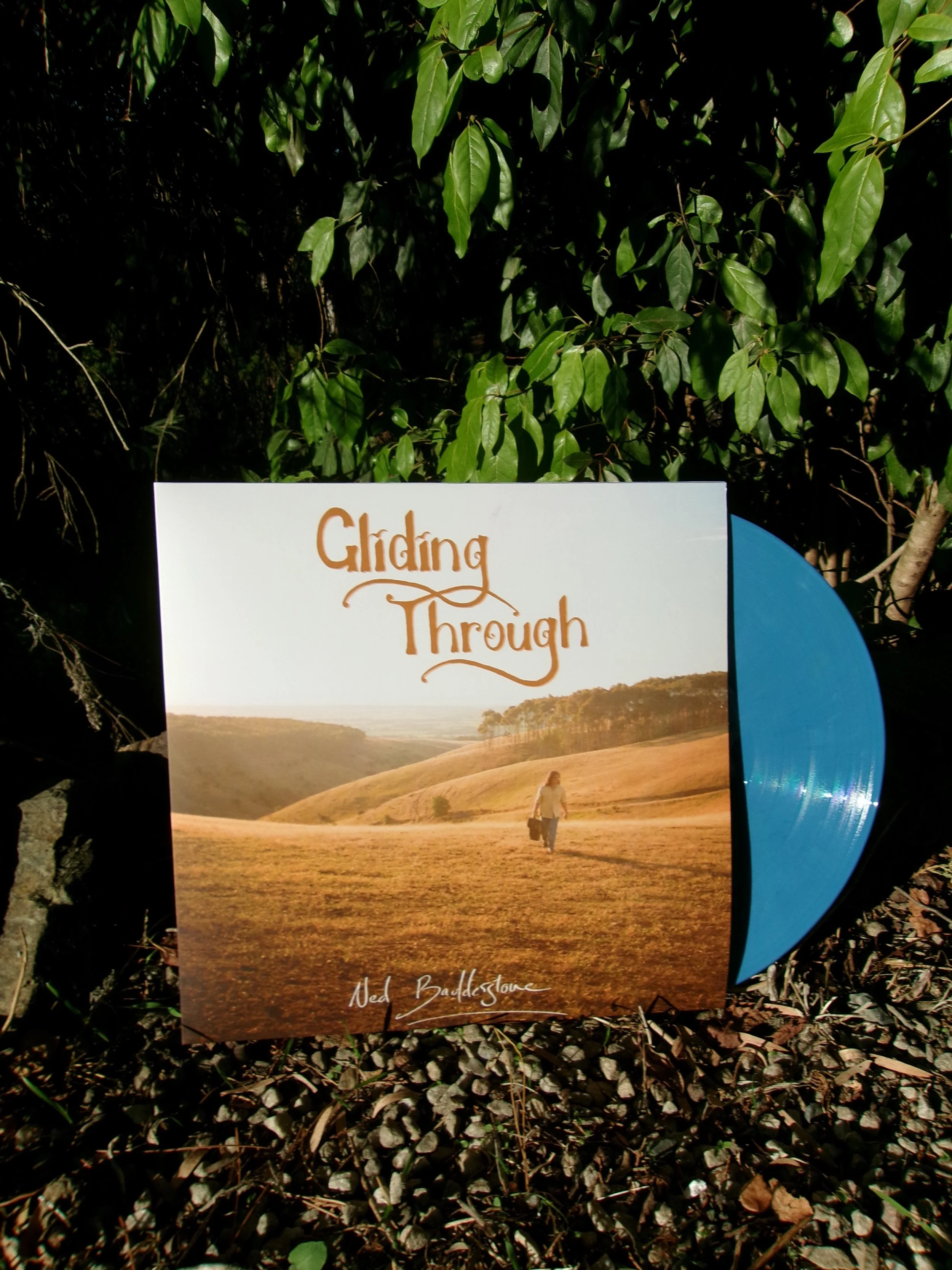 Gliding Through Vinyl