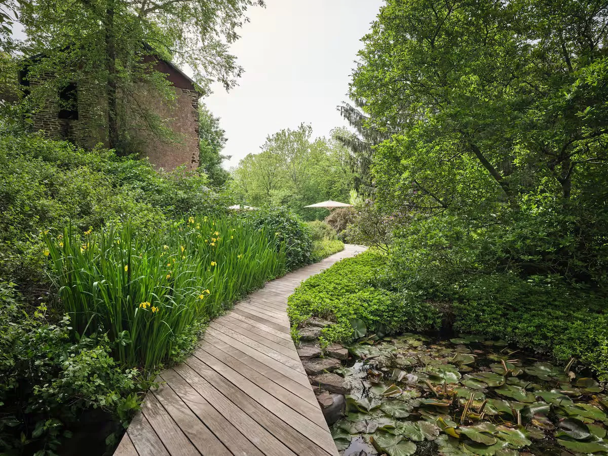 Walkway to Pool and Lily Pond with Coy Fish