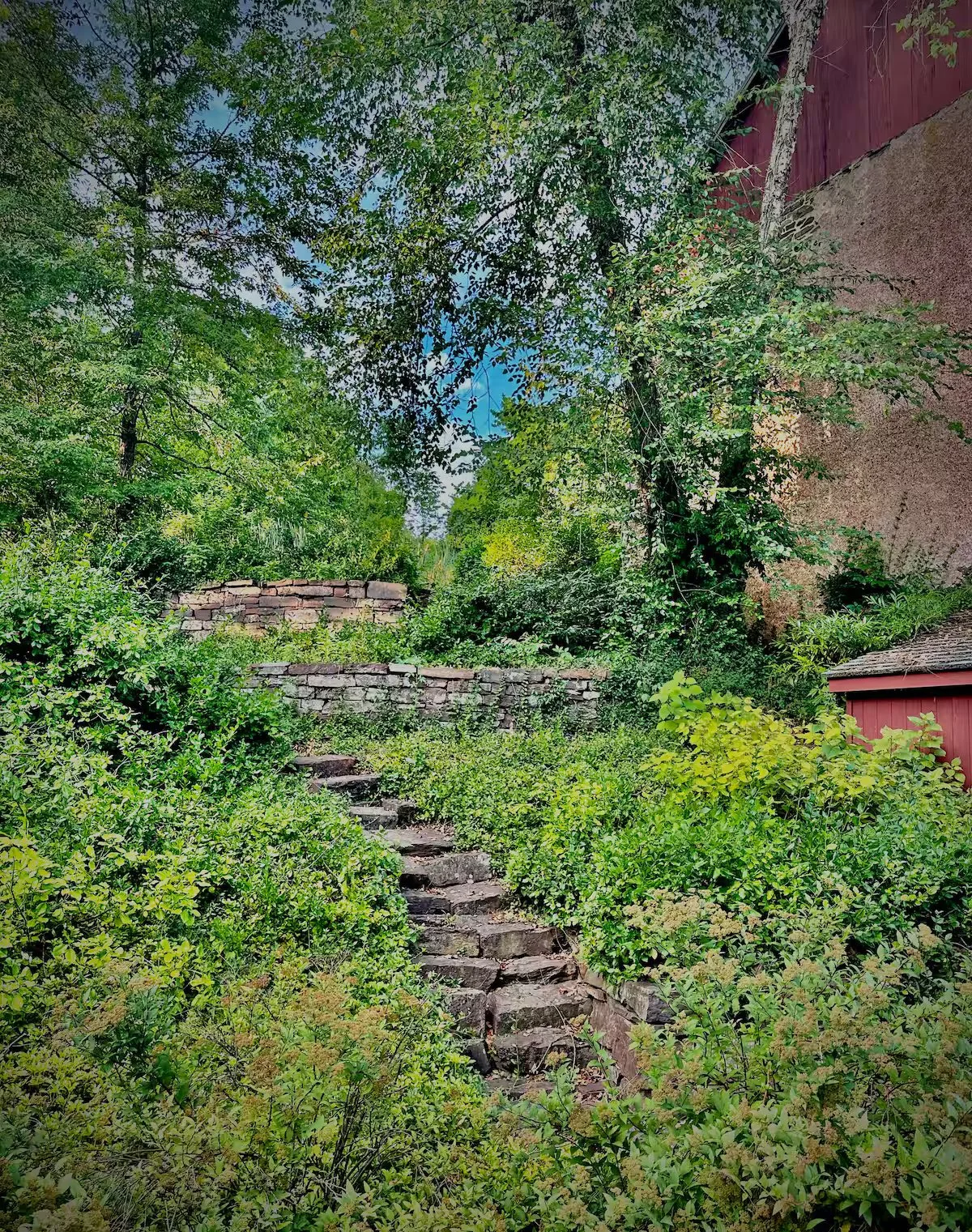 Winding Stone Steps Through Lush Garden to Pool