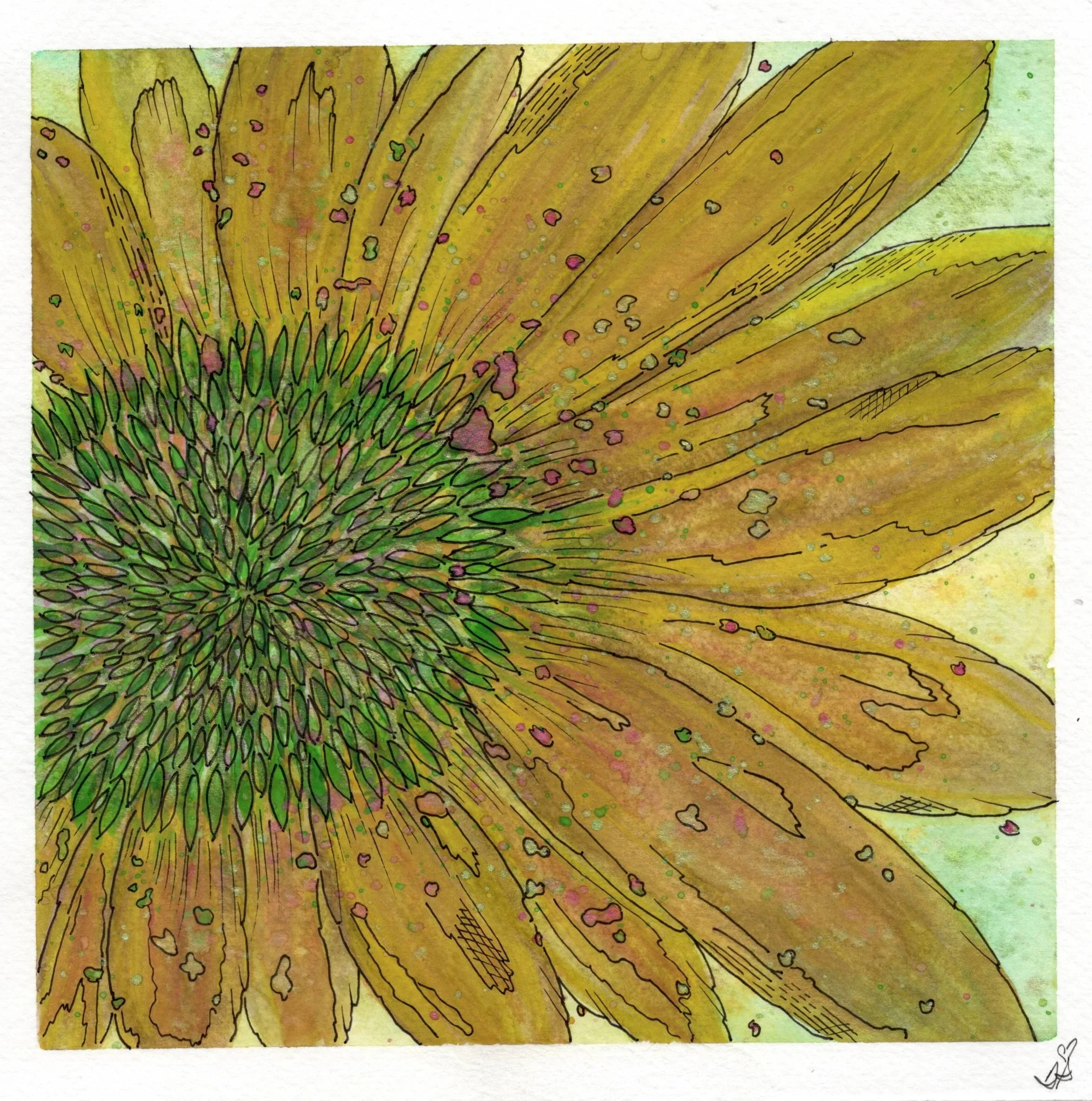 southmeadow+series+flower+medicine.jpg