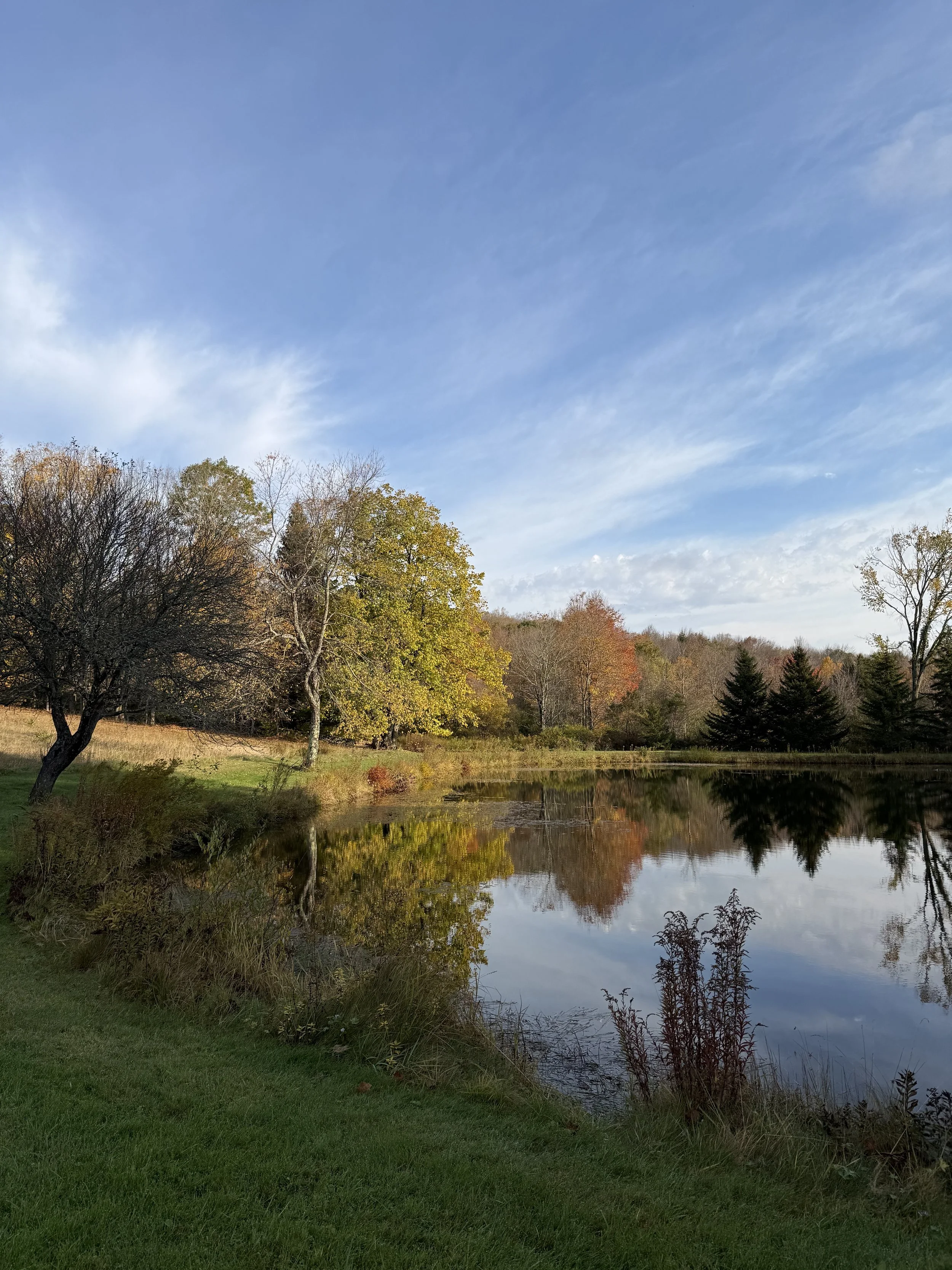 Taking a Break, Shifting Direction, and Coming Back to What Matters