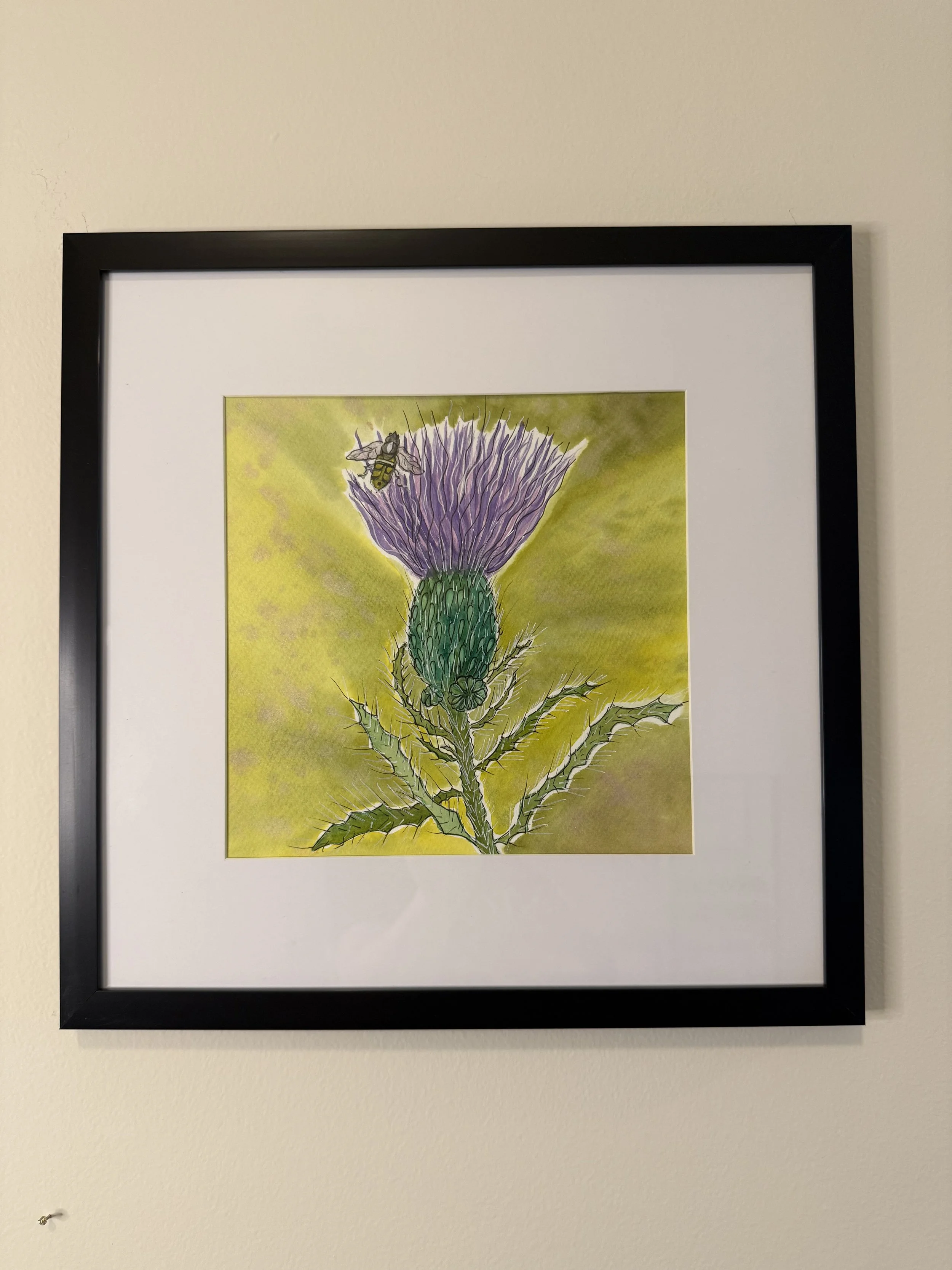 Southmeadow Series: A Bee & It's Thistle Original Watercolor 9x12 Framed