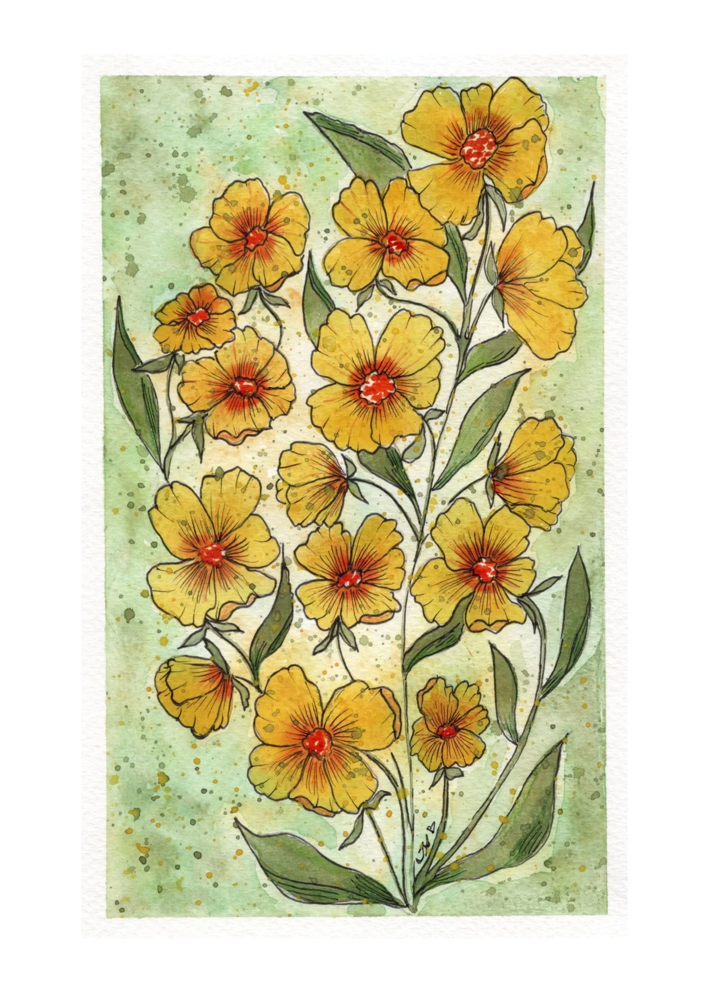 May 2026 Flowers Watercolor 8.5" x 5.5"