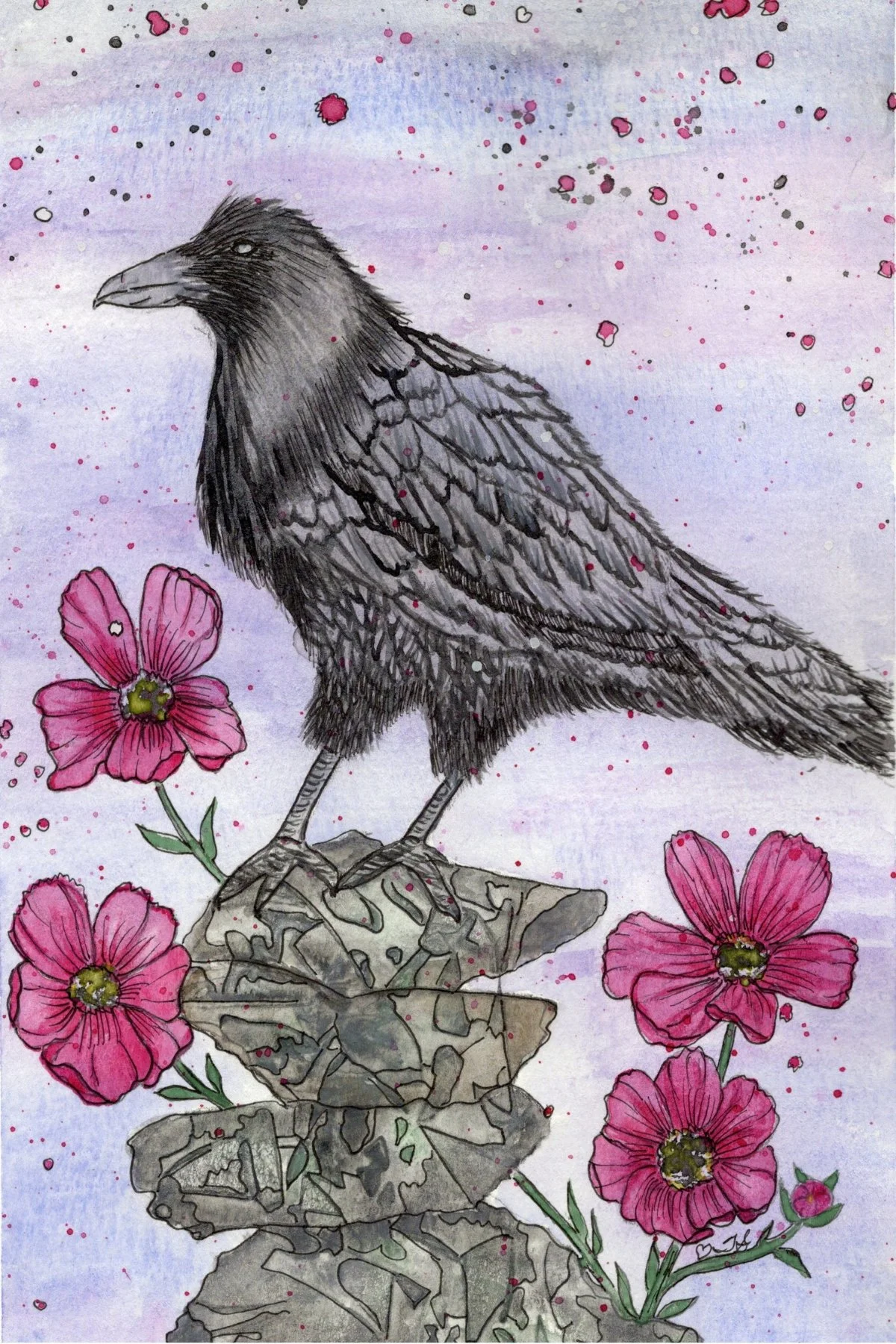 Crow "A Higher Perspective" 4x6" Print
