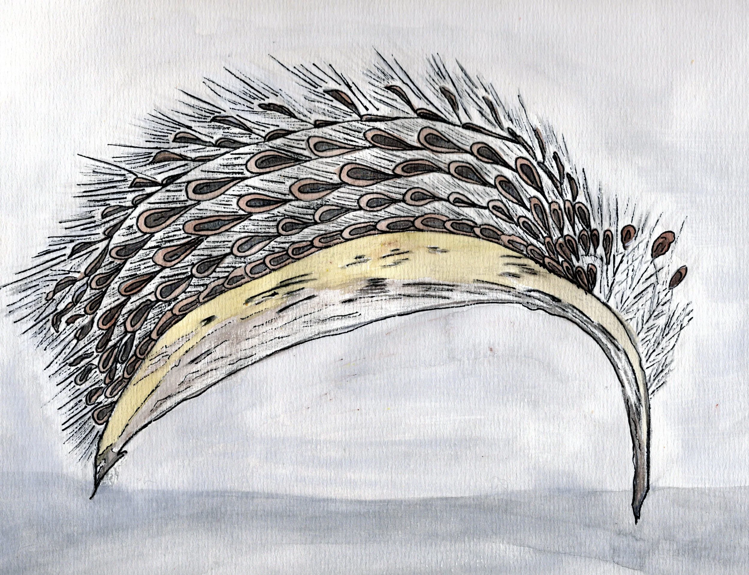 Milkweed Seed 9x12" Watercolor Original