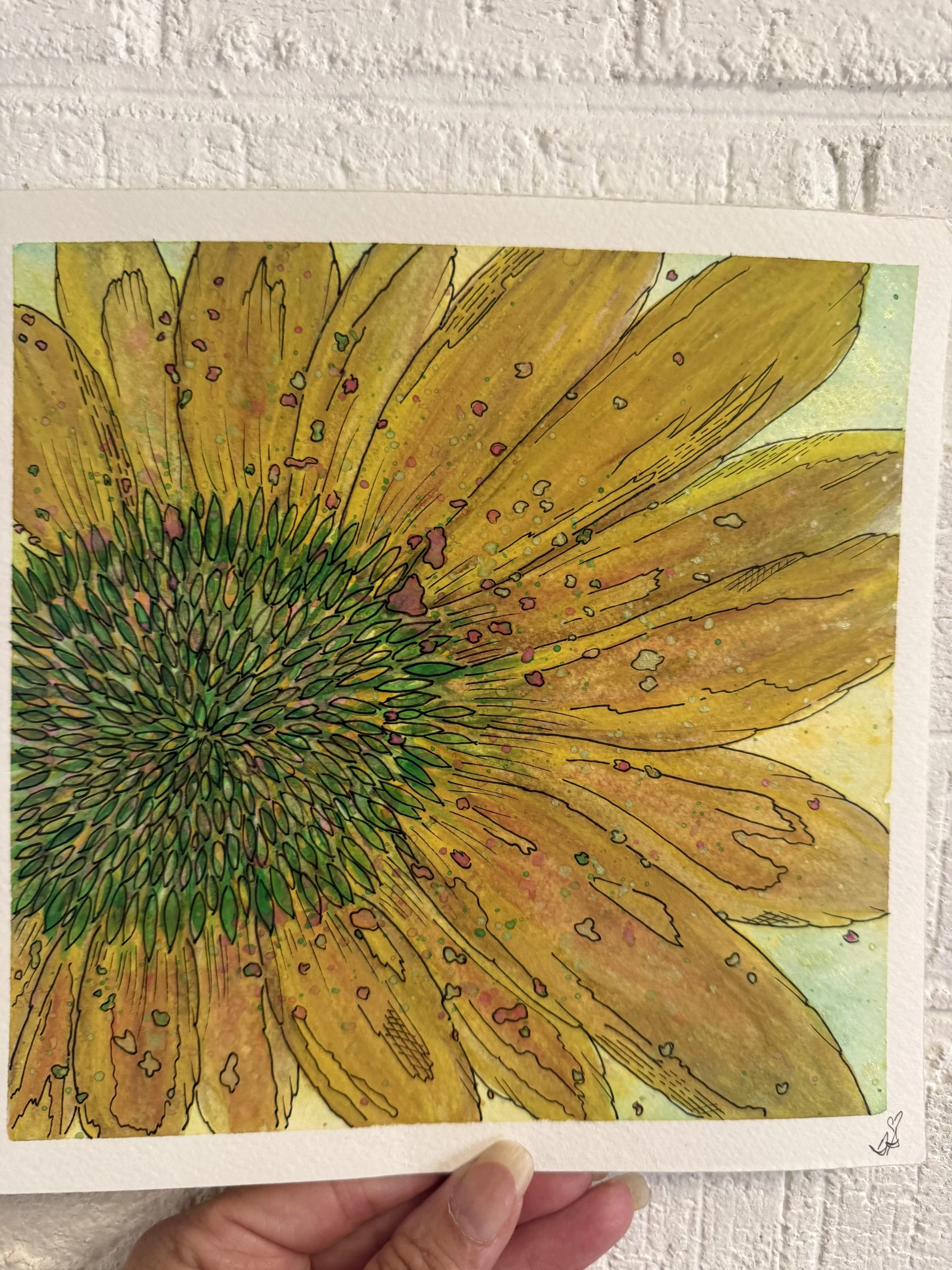 South Meadow Farm Series: Flower Medicine