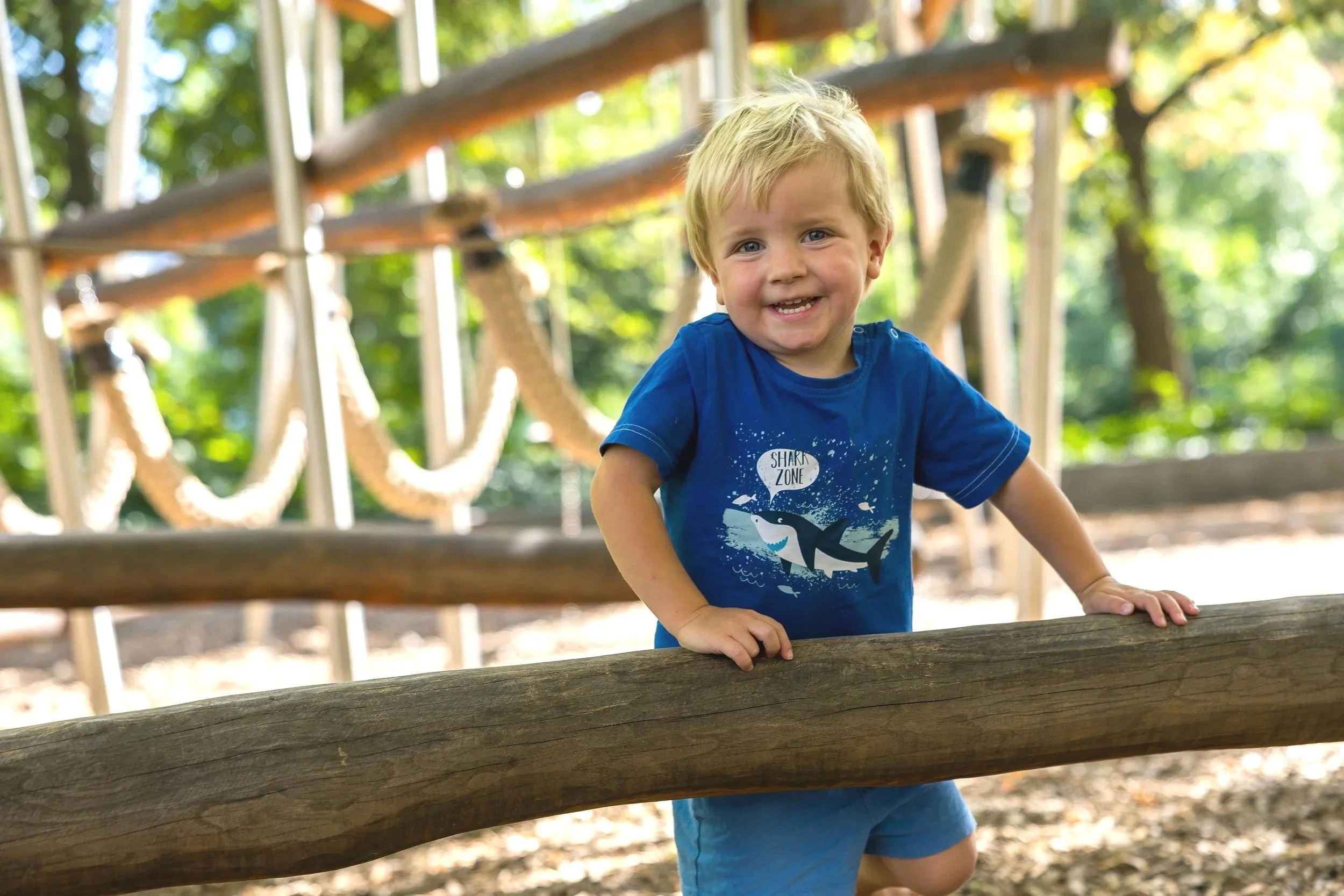 Ein lachender, kleiner Junge mit blonden Haaren, blauer T-Shirt mit Delfin-Design, spielt im Park auf einer Kletteranlage aus Holz.