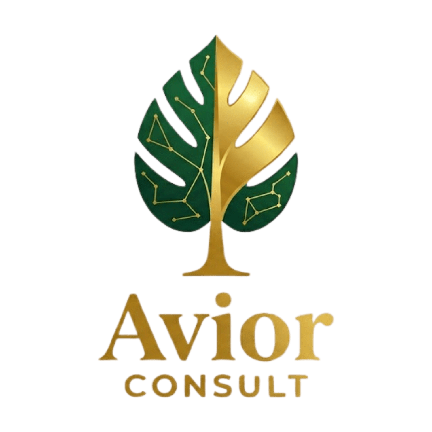 Your Site Title