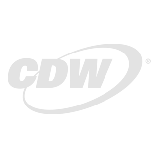 CDW enterprise channel distribution and commercial leadership experience