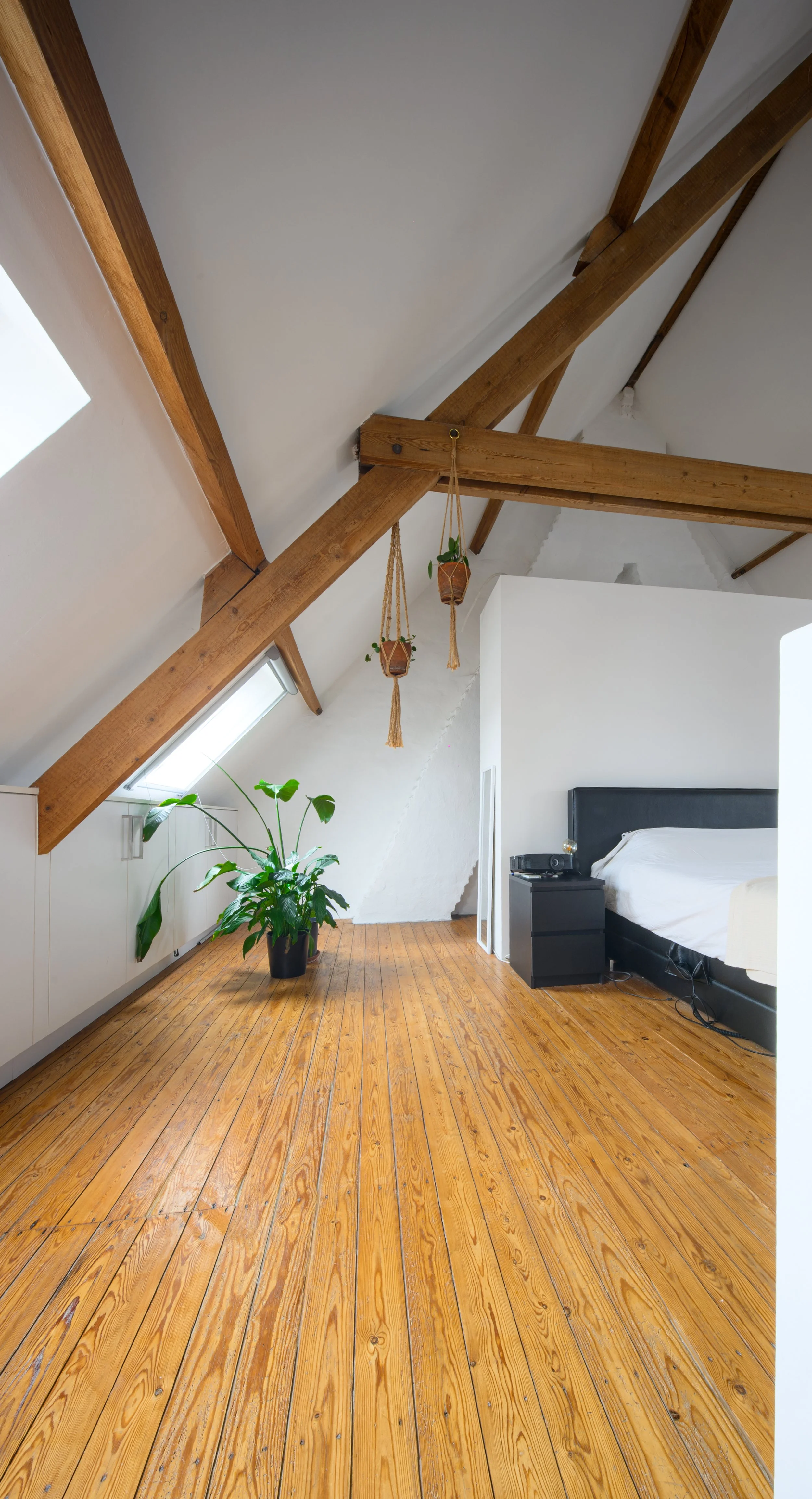 A bedroom with slanted ceiling, wooden beams, a black bed frame with white bedding, a nightstand with a clock radio, a potted plant, and hanging planters, wooden flooring, with a skylight and white walls.