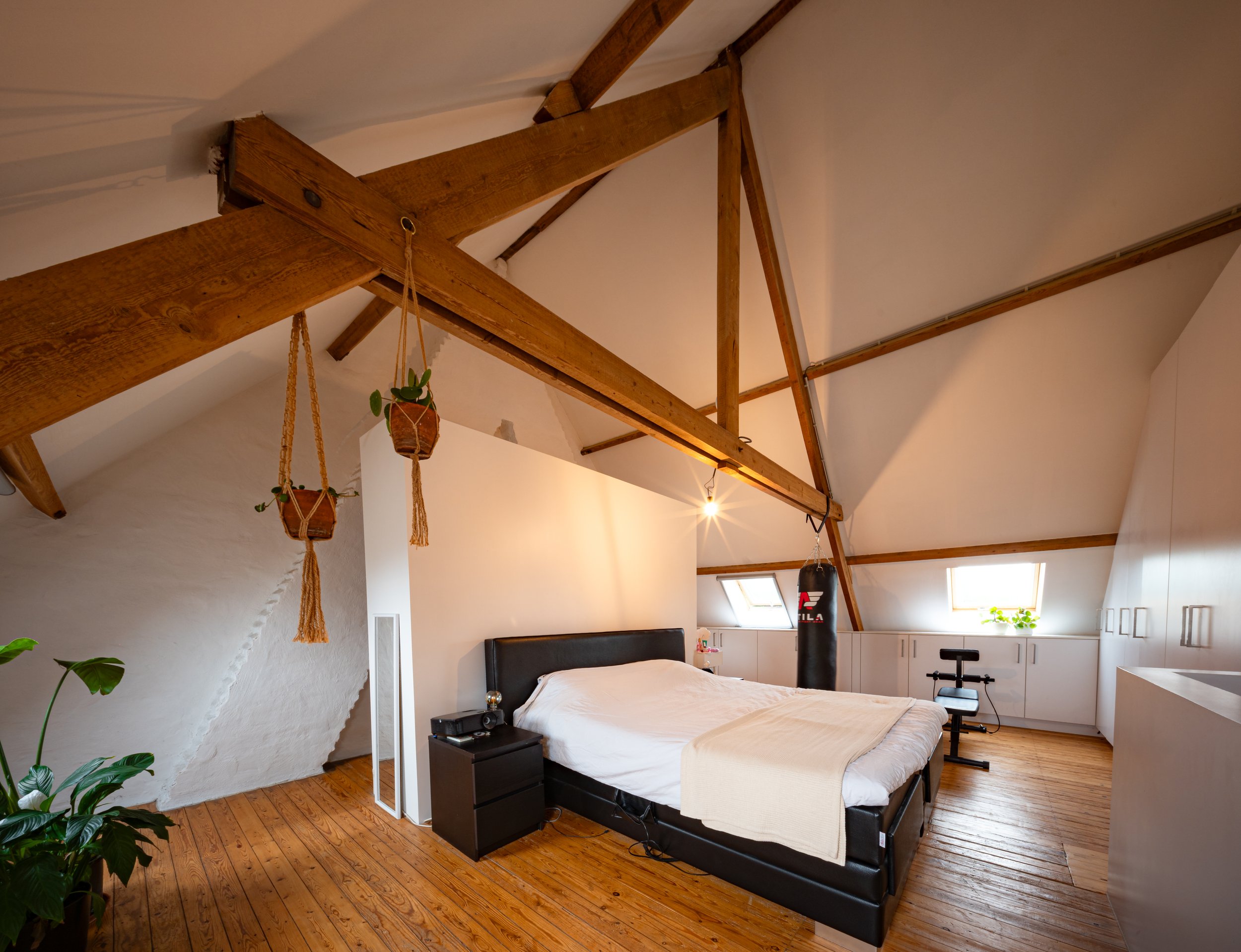 A bedroom with a sloped ceiling and exposed wooden beams. There's a bed with white linens and a black headboard, a small black nightstand with a lamp and an alarm clock, and hanging planters with green plants. Natural light enters through a skylight 