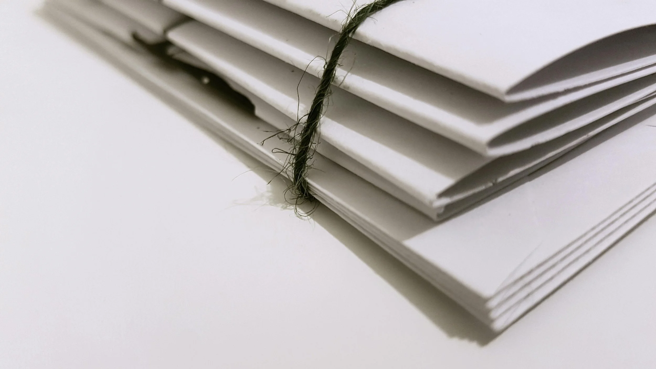 Treatment and Pitch Document Editing