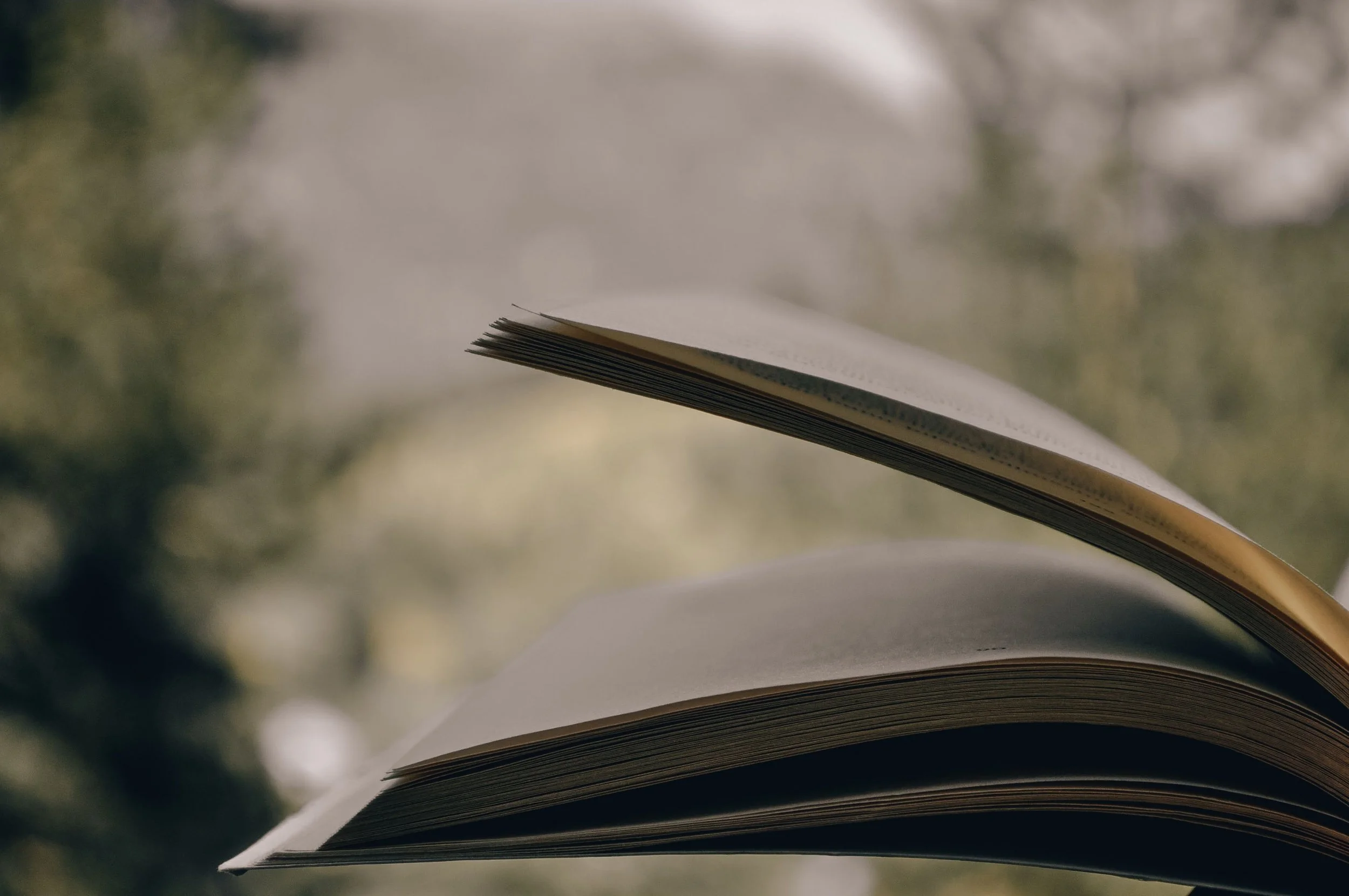 Editorial Analysis: The Work as a Whole