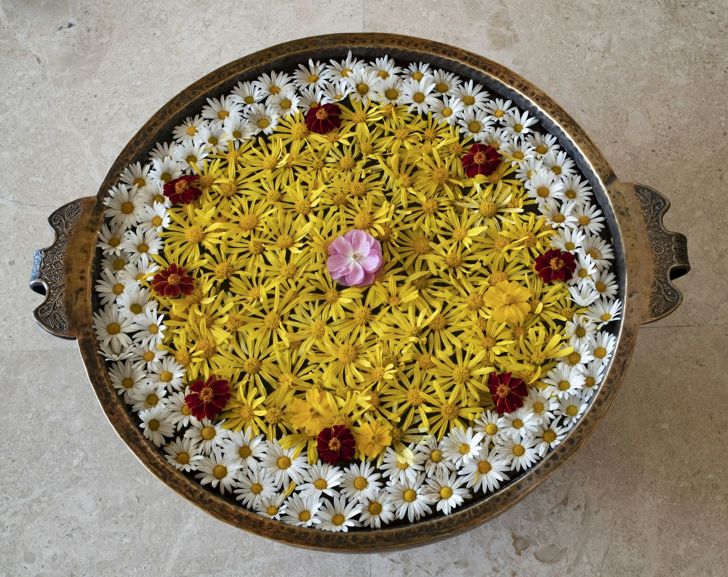 A mandala with white daisies, yellow flowers, and some red and pink flowers, placed on a light-colored stone surface.