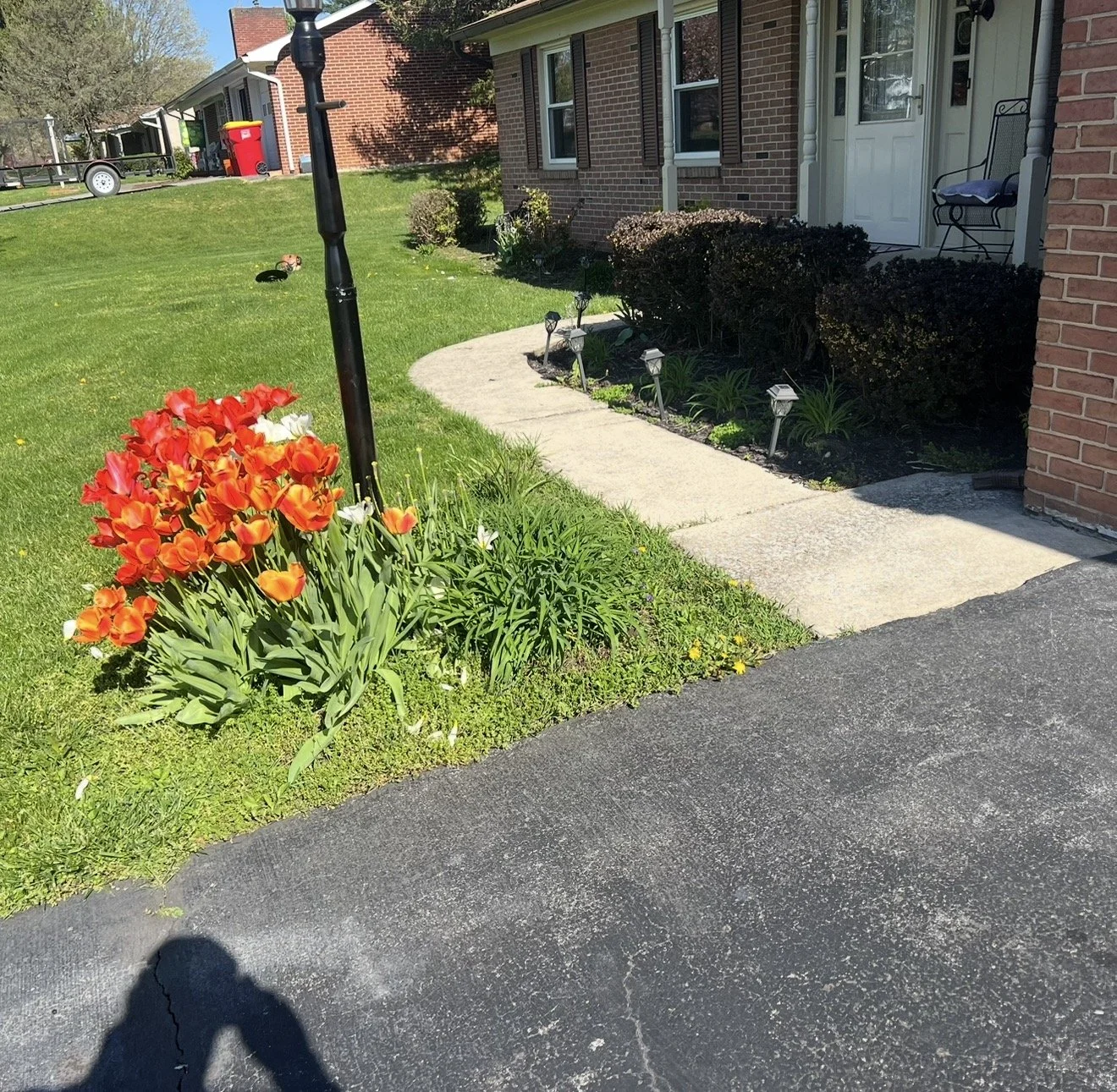 IMG_4176.jpeg